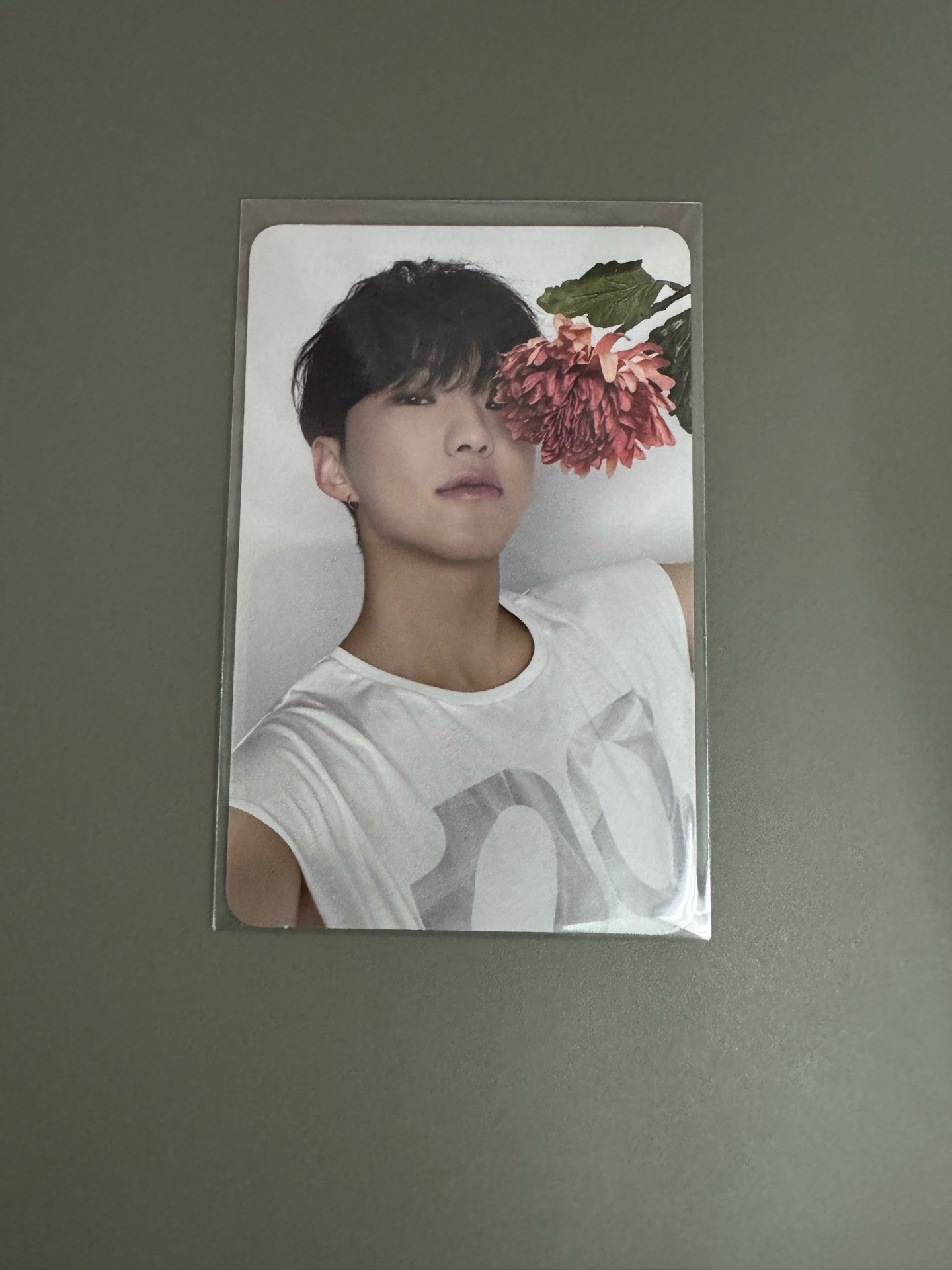 精選專克拉盤小卡 順榮小卡