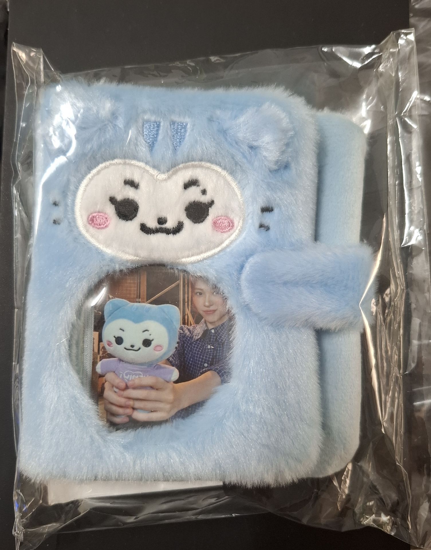 2025 FM 絨毛卡冊 留真 未拆封