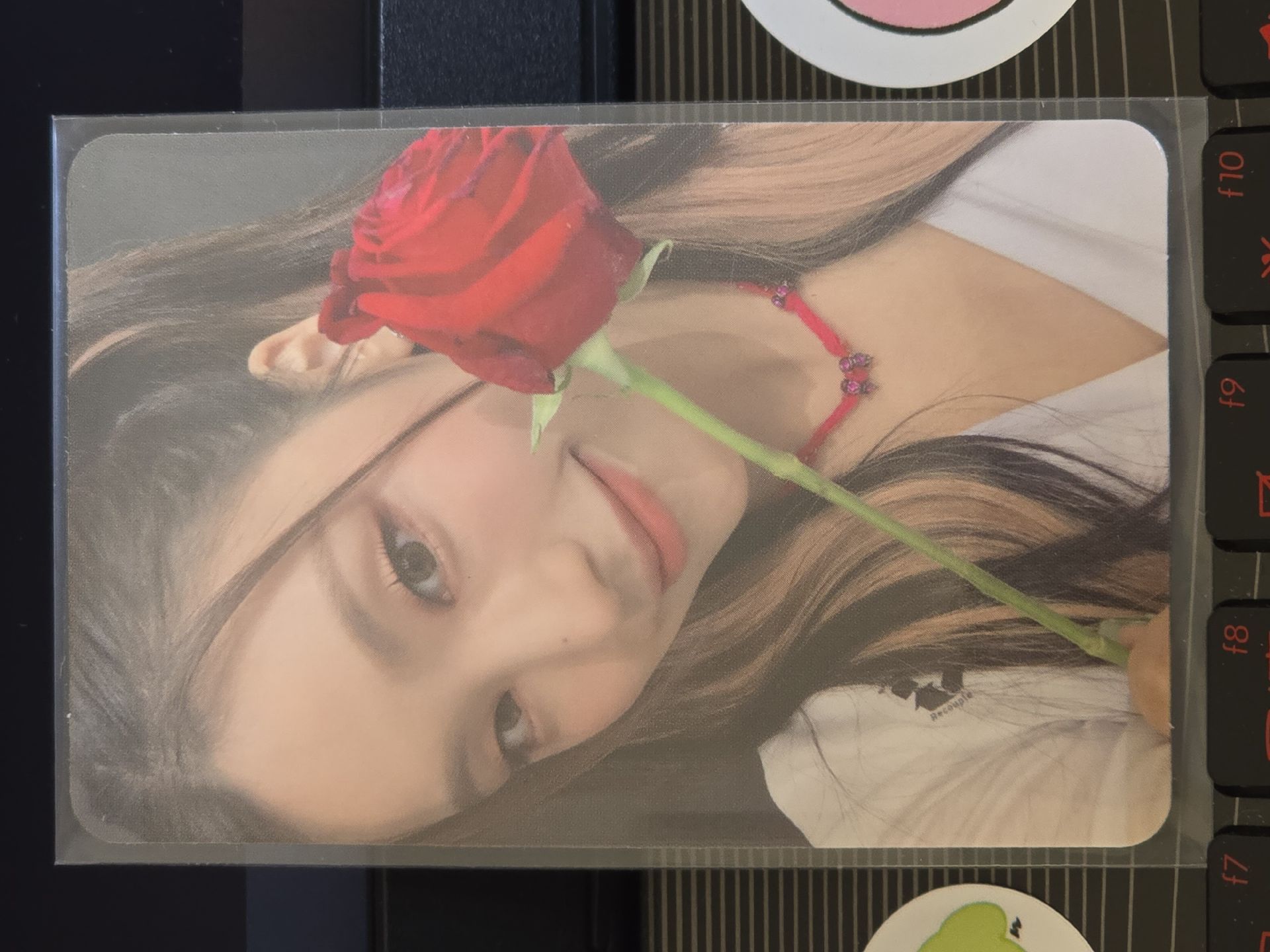 特別版專卡 禮智