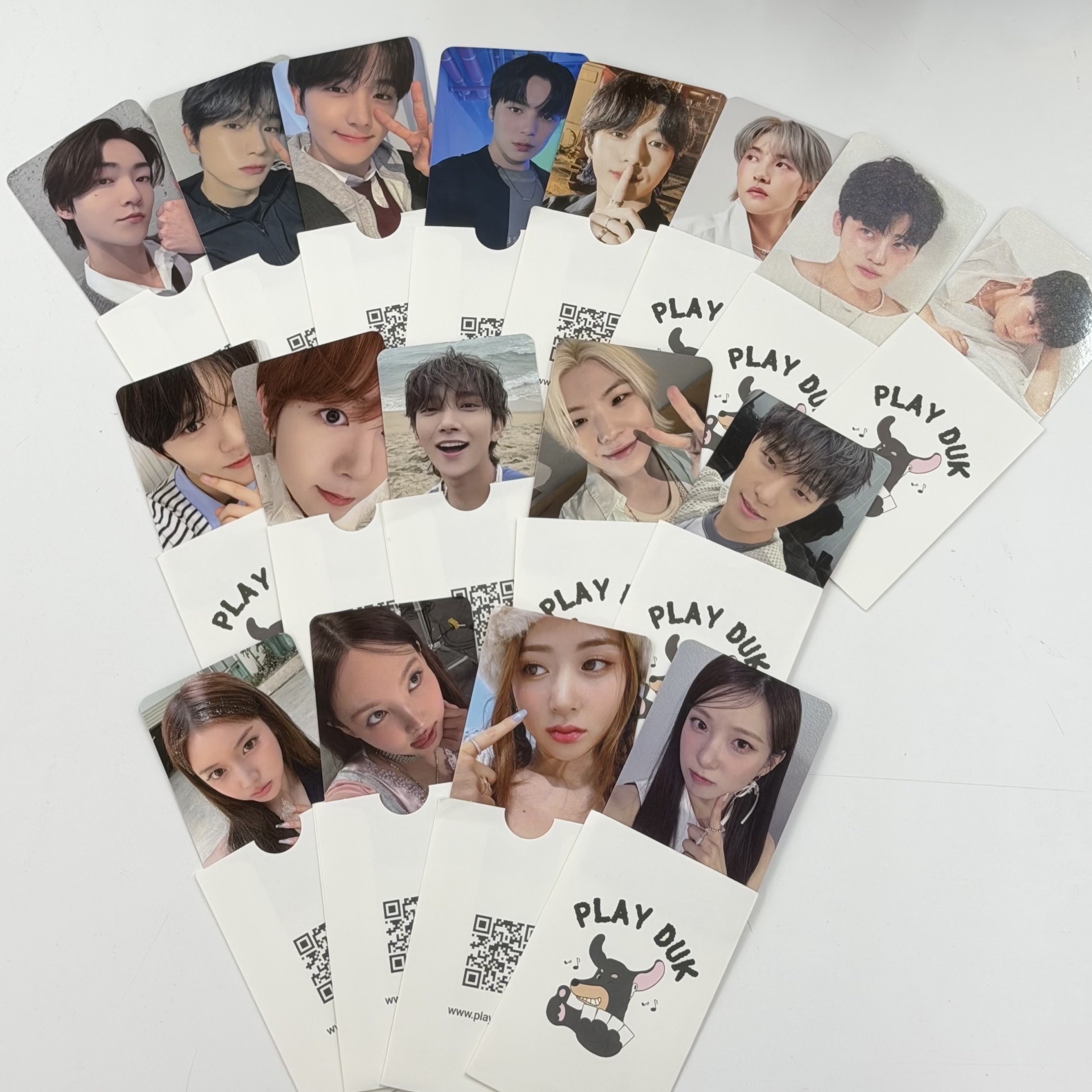 SVT bdm knpops WOOZI DINO