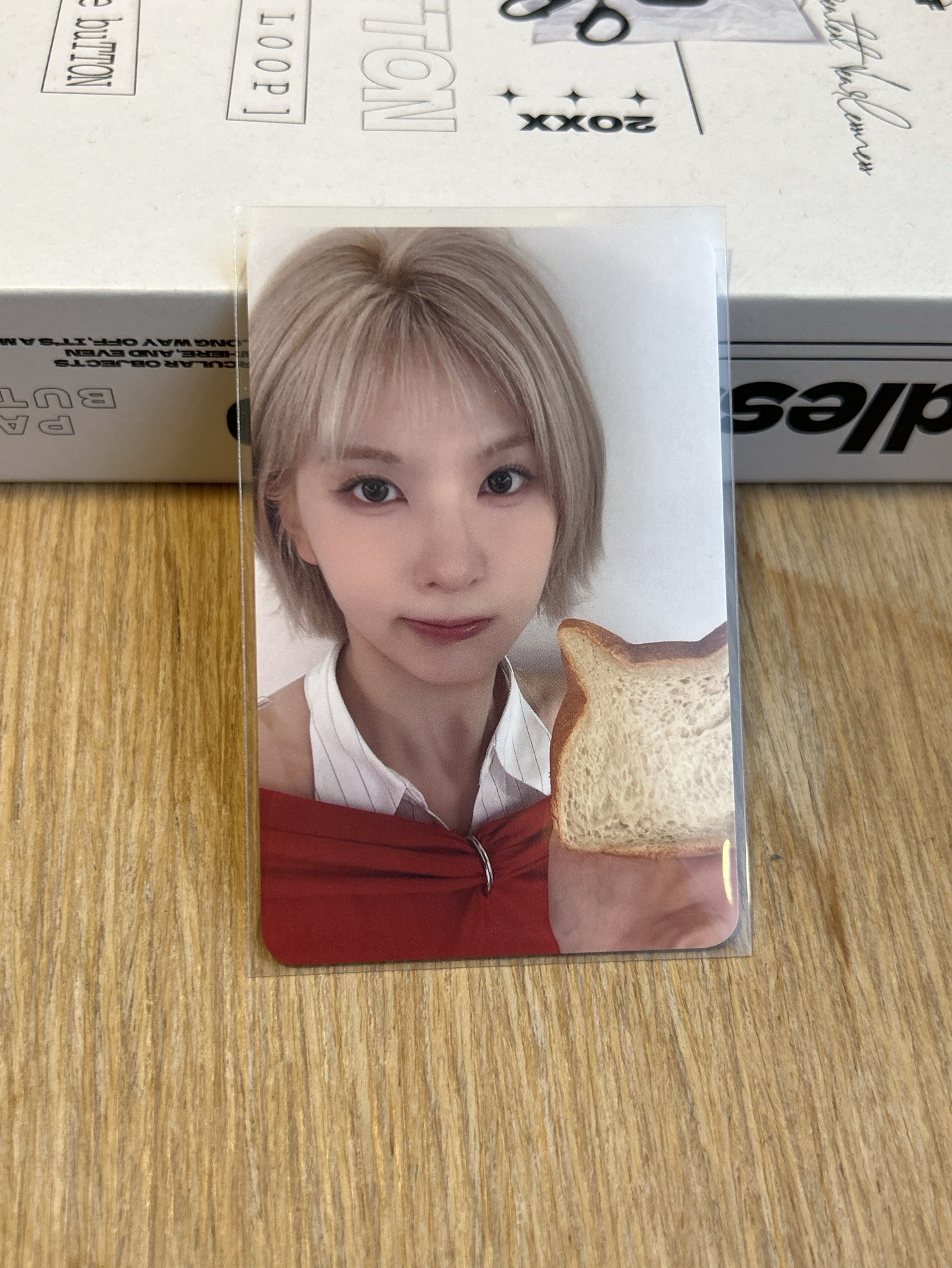 ms17.0貓咪麵包裴