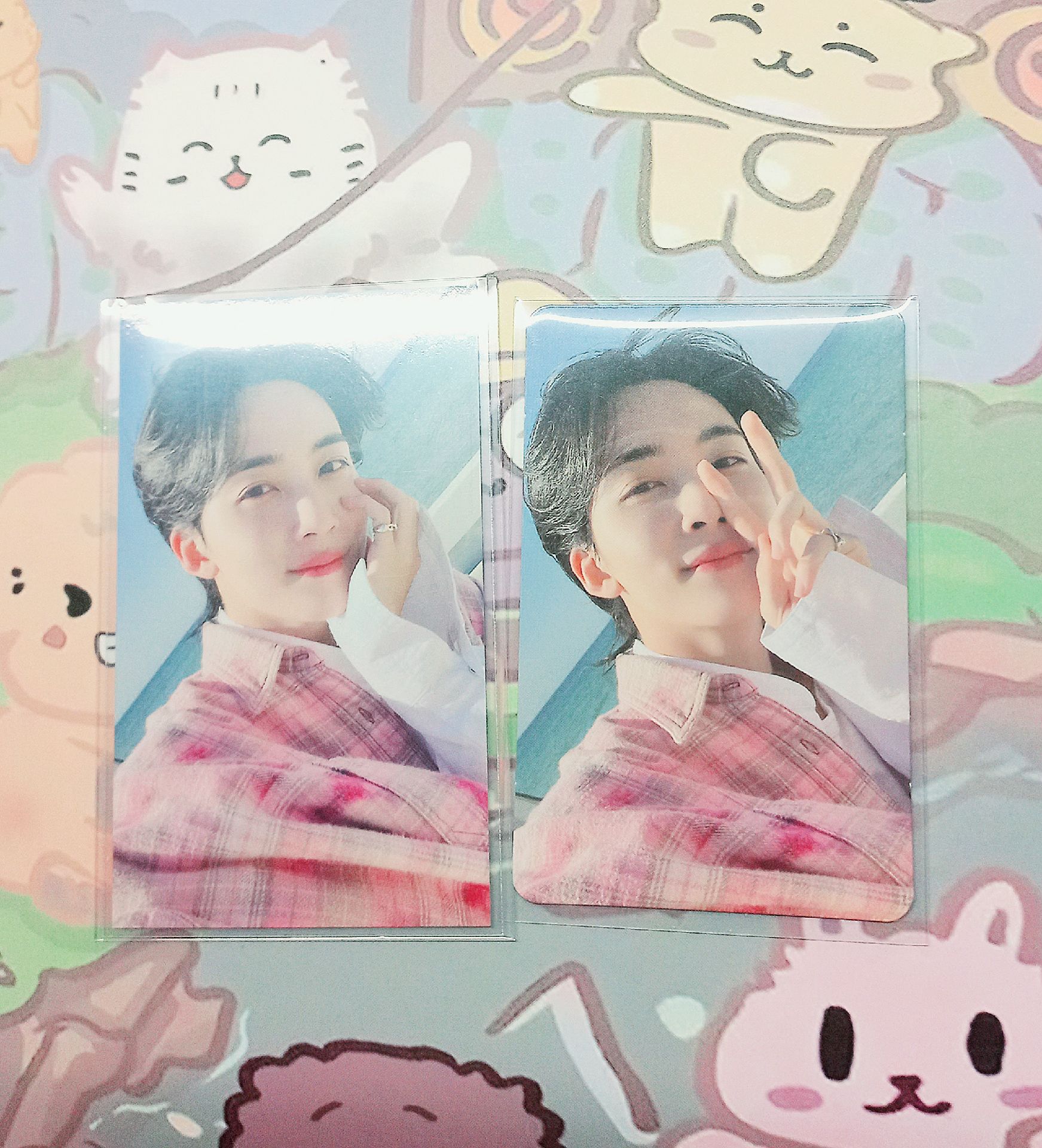 [🐰現貨]Seventeen 淨漢 mini 10 環球東京場限 小卡 海邊漢