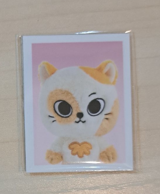 二代Catbbi吊飾娃證件照