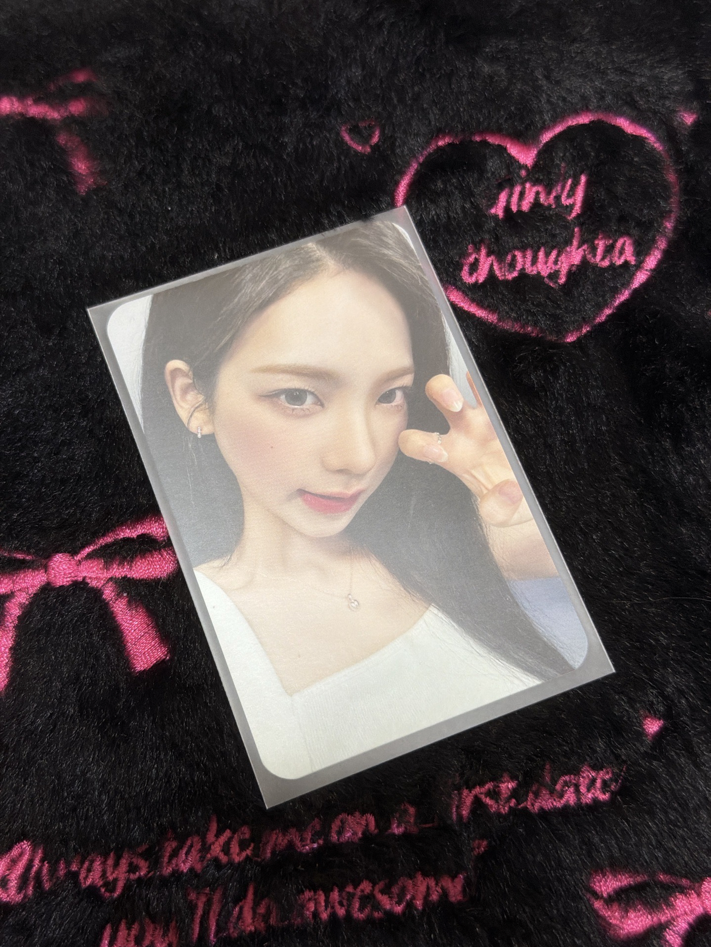 展會貓爪柚 🐈