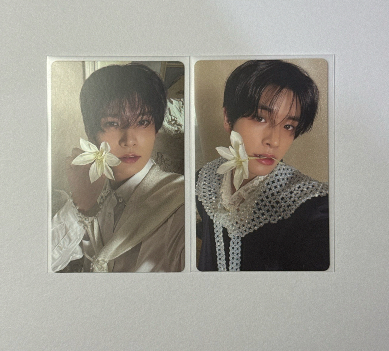 ✨ENHYPEN 迷五專卡