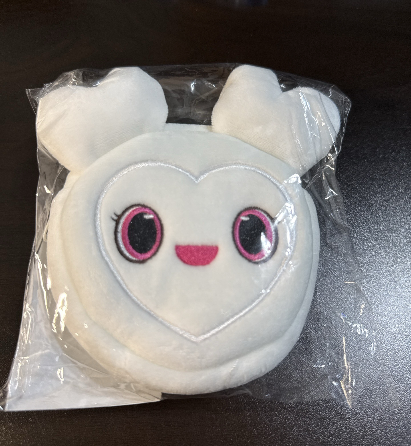 六巡演唱會周邊 Davely 多賢 零錢包