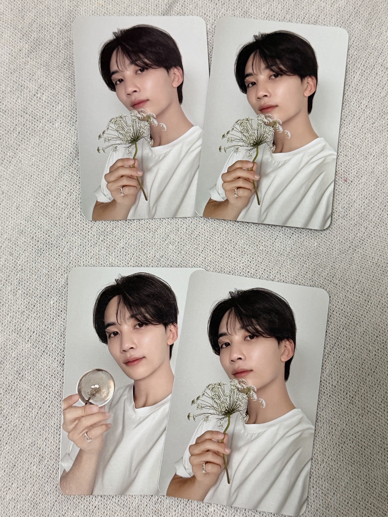 SEVENTEEN 淨漢 精選專 克拉盤 專卡