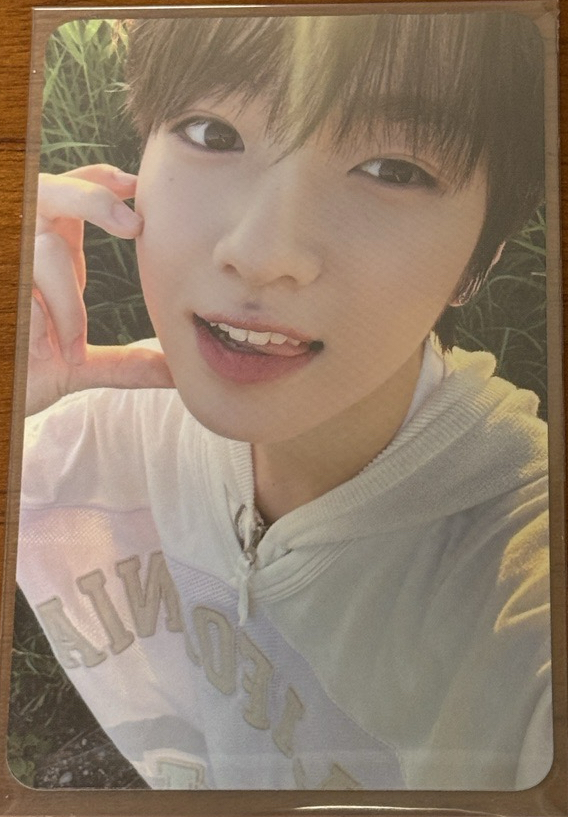 NCT WISH sakuya steady隨機卡