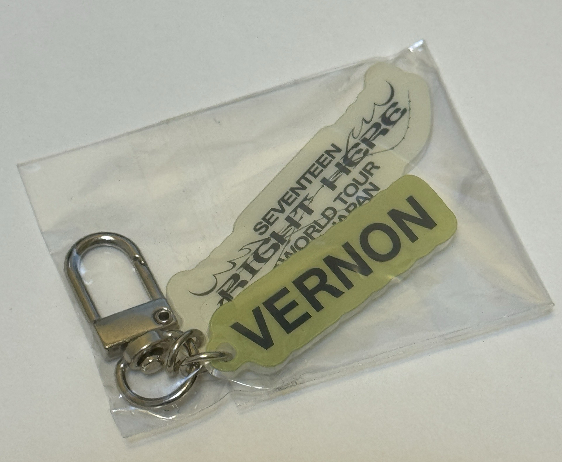 Vernon扭蛋吊飾 SEVENTEEN RIGHT HERE日巡