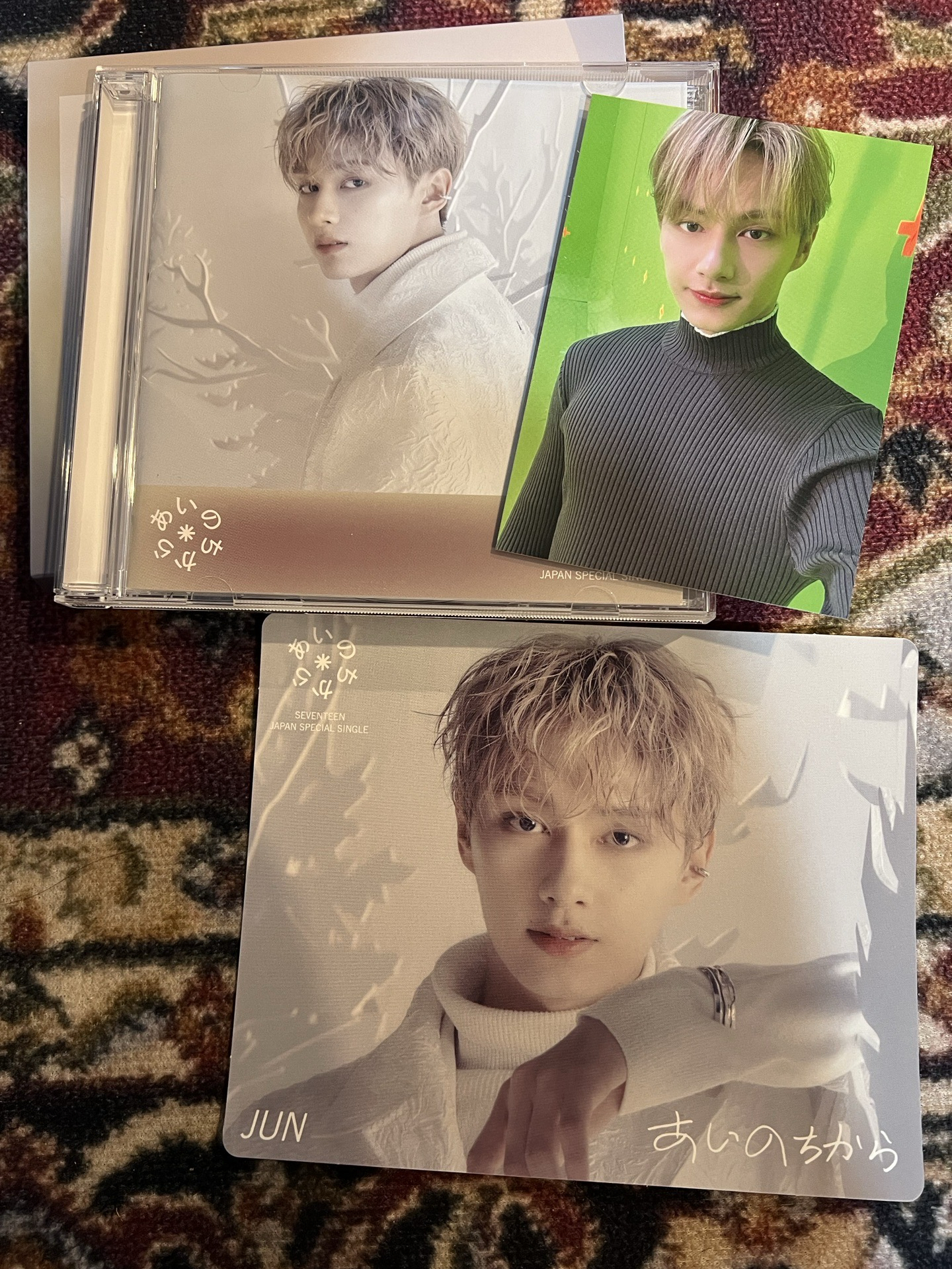 🤎日專 愛之力 俊（300）