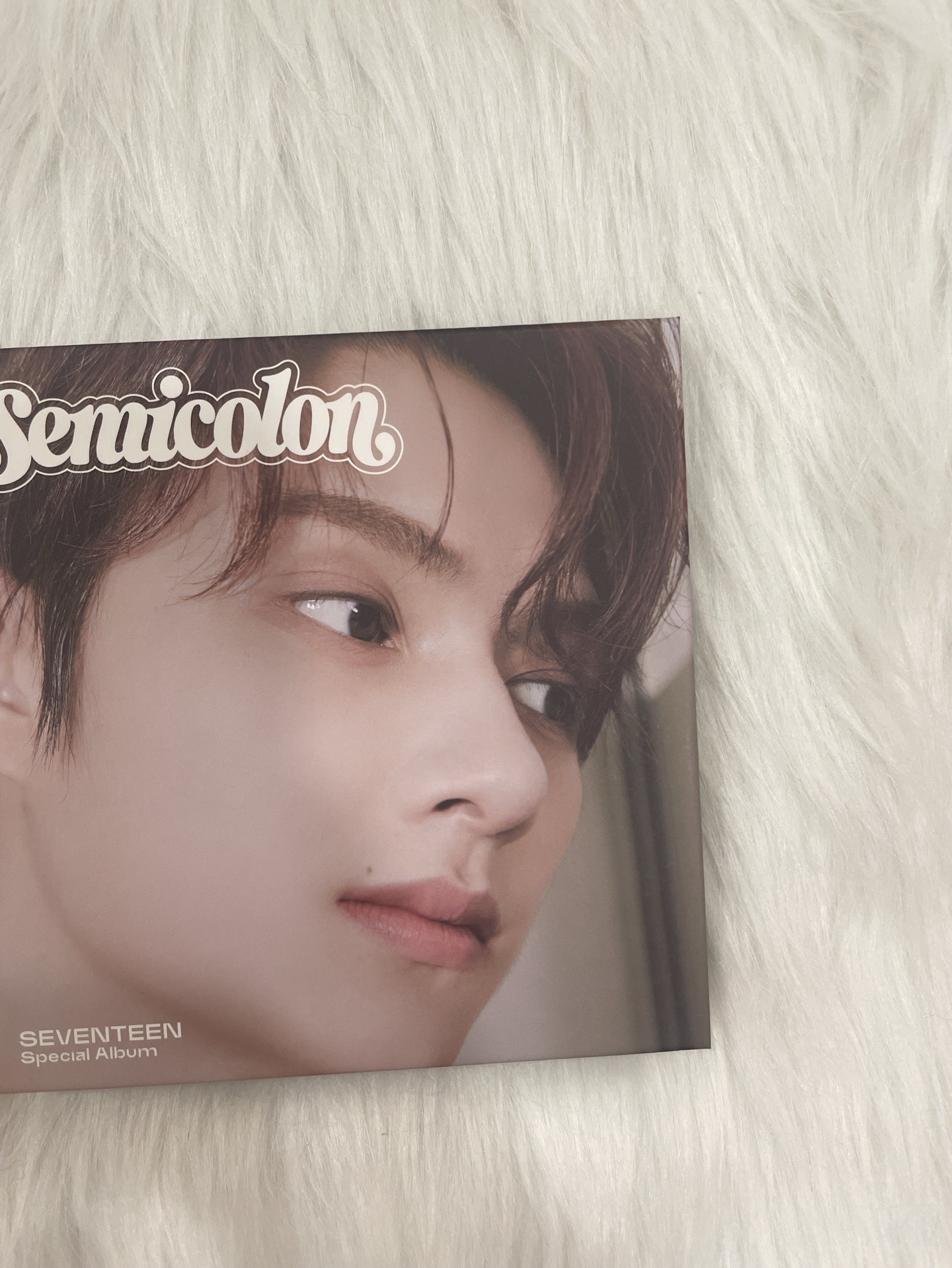 【SVT】特二 俊封（含針線包）