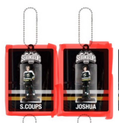 [25 SEVENTEEN’s HOME]ACRYLIC KEYRING 吊飾