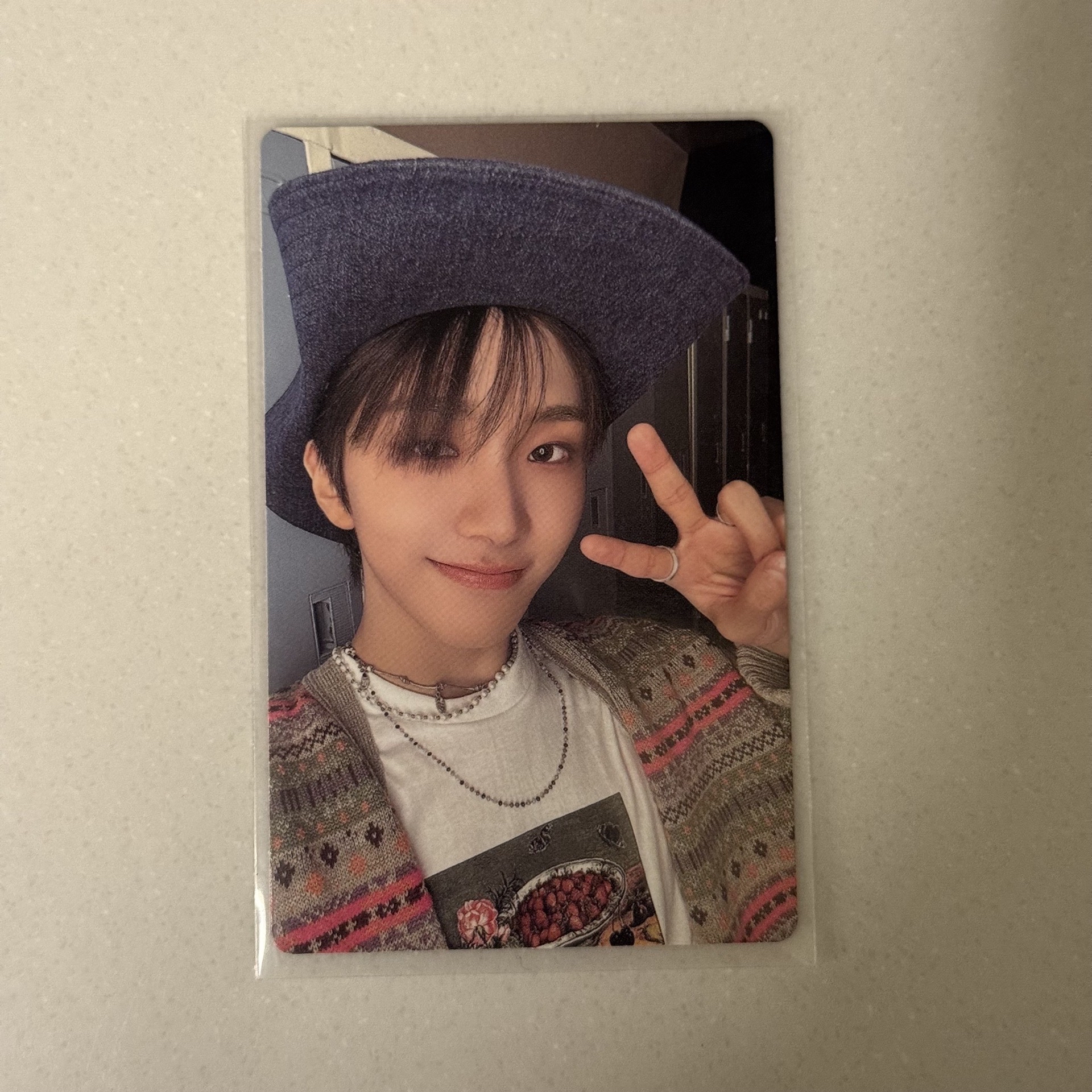 WHY wvs特典 雲鶴