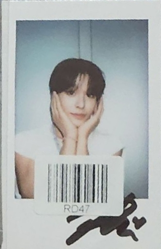 steady kms 2.0 v2 拍立得