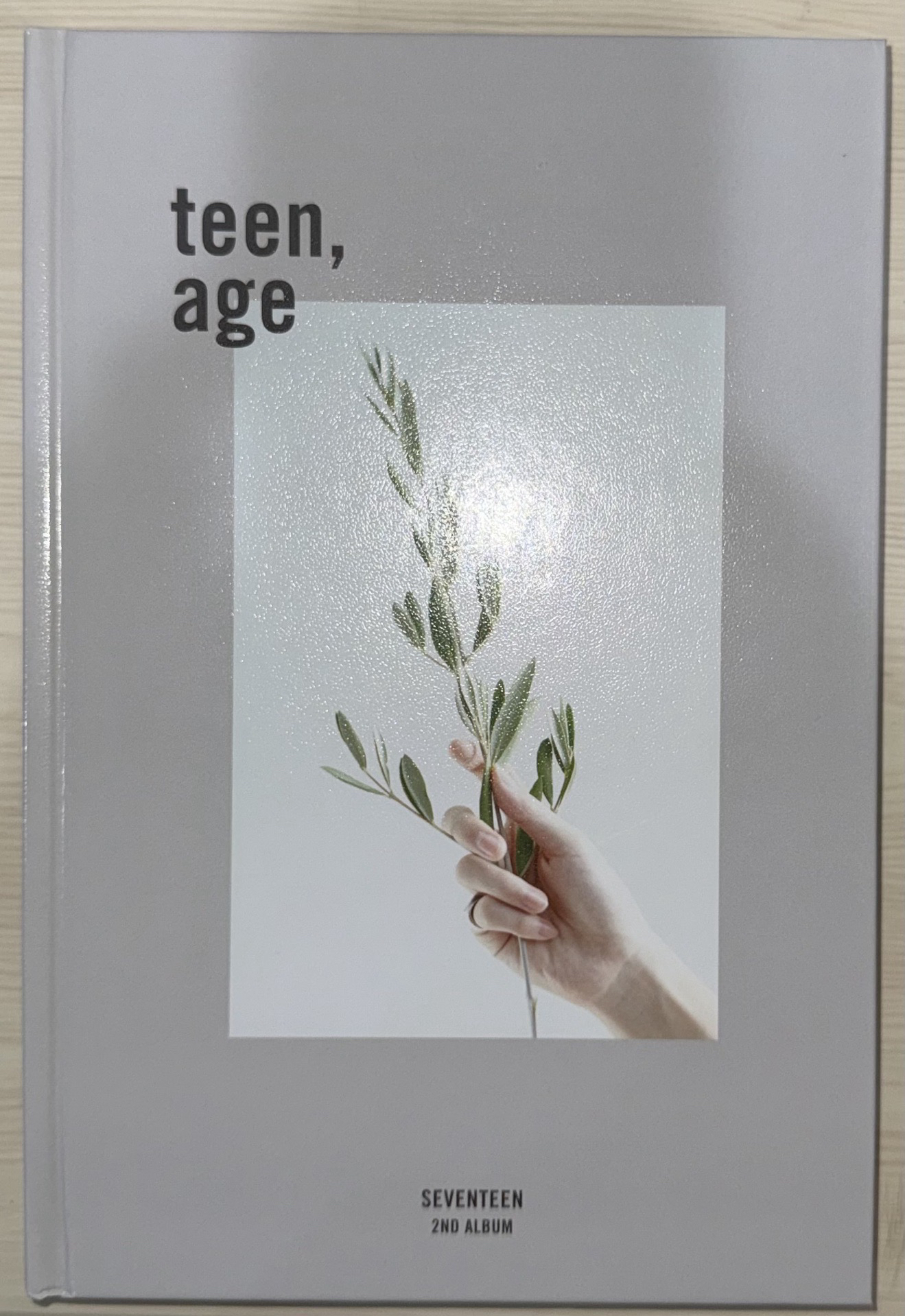 Seventeen 空專（無隨機卡）