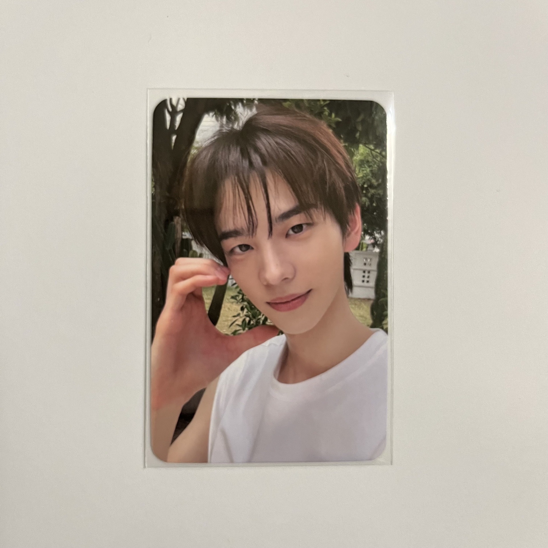 TWS SUMMER BEAT! sw簽售卡 申惟