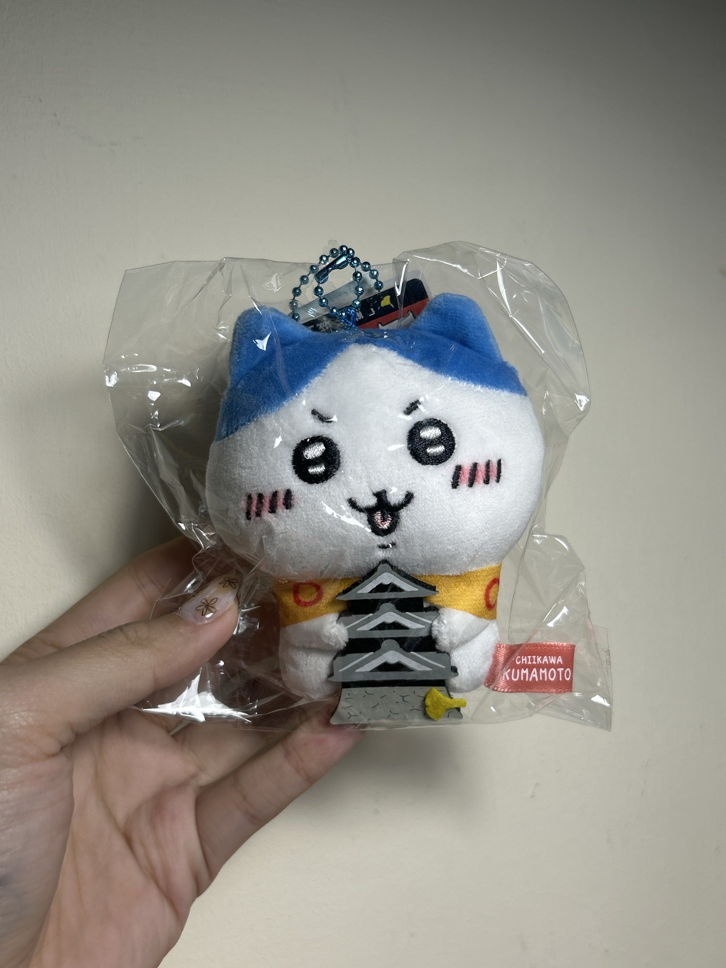 日本地區限定九州小八