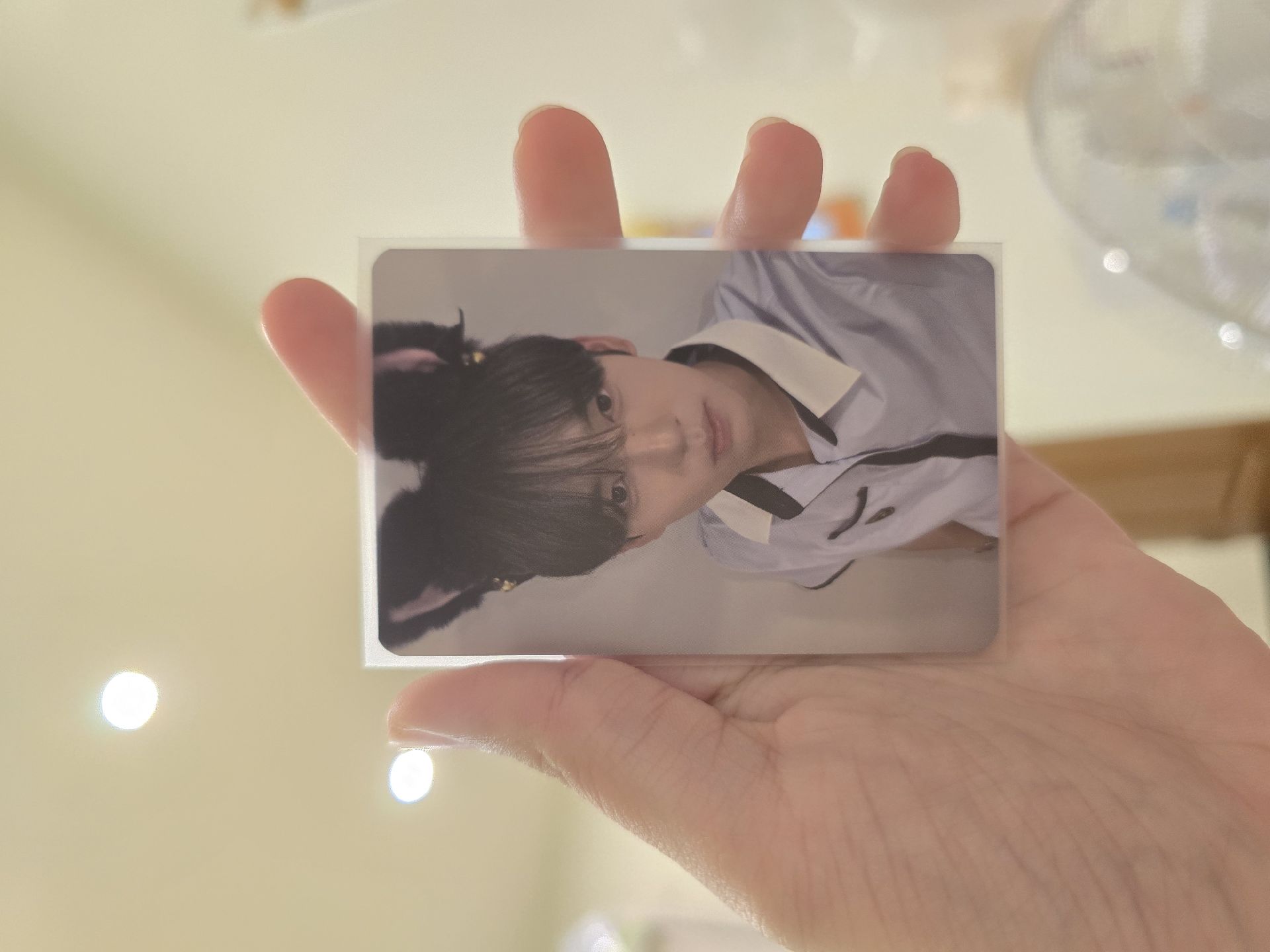 韓維辰 迷一貓耳