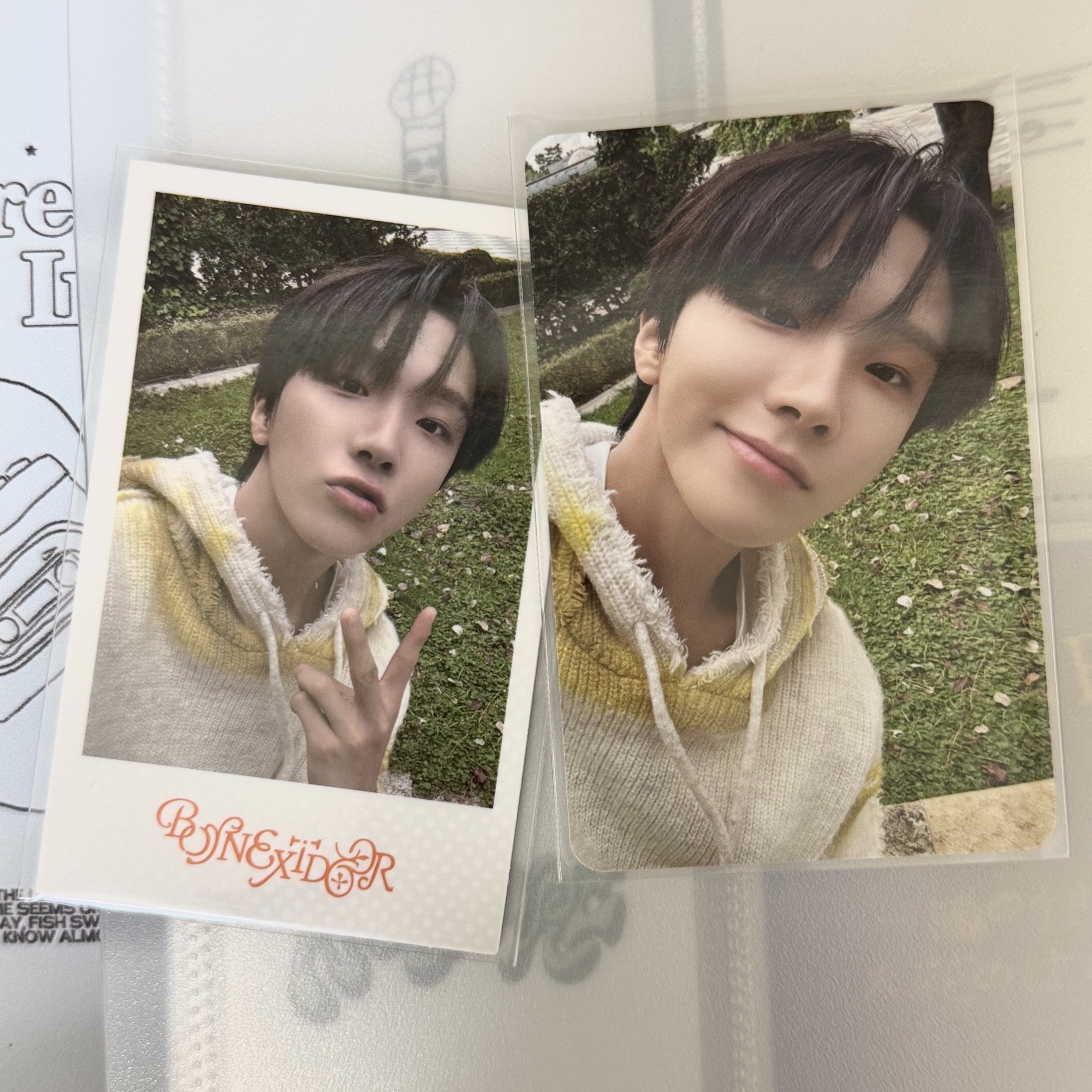 金雲鶴回憶錄小卡