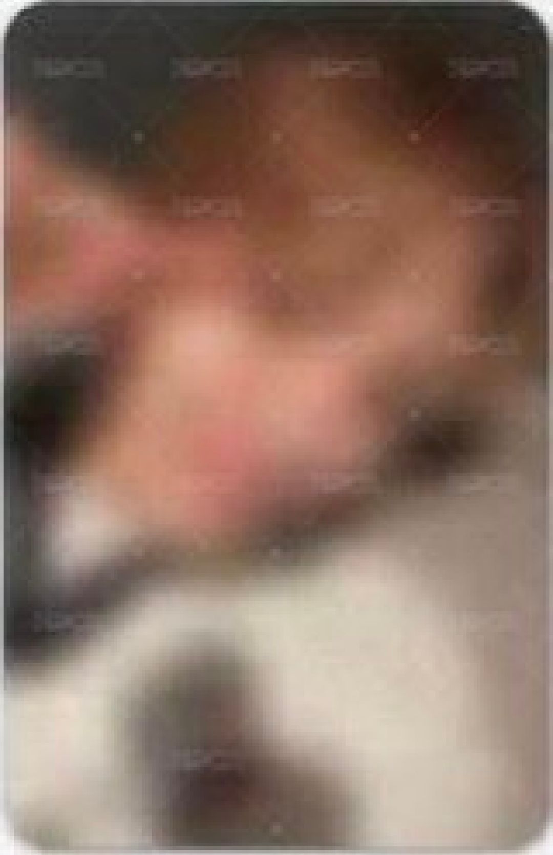 The Action yzy簽售4.0 6