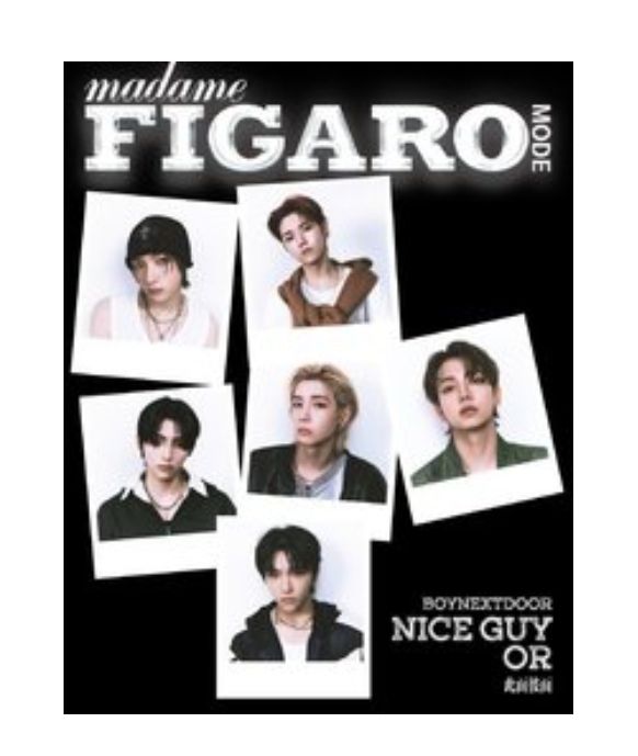 📔費加羅 B版雜誌