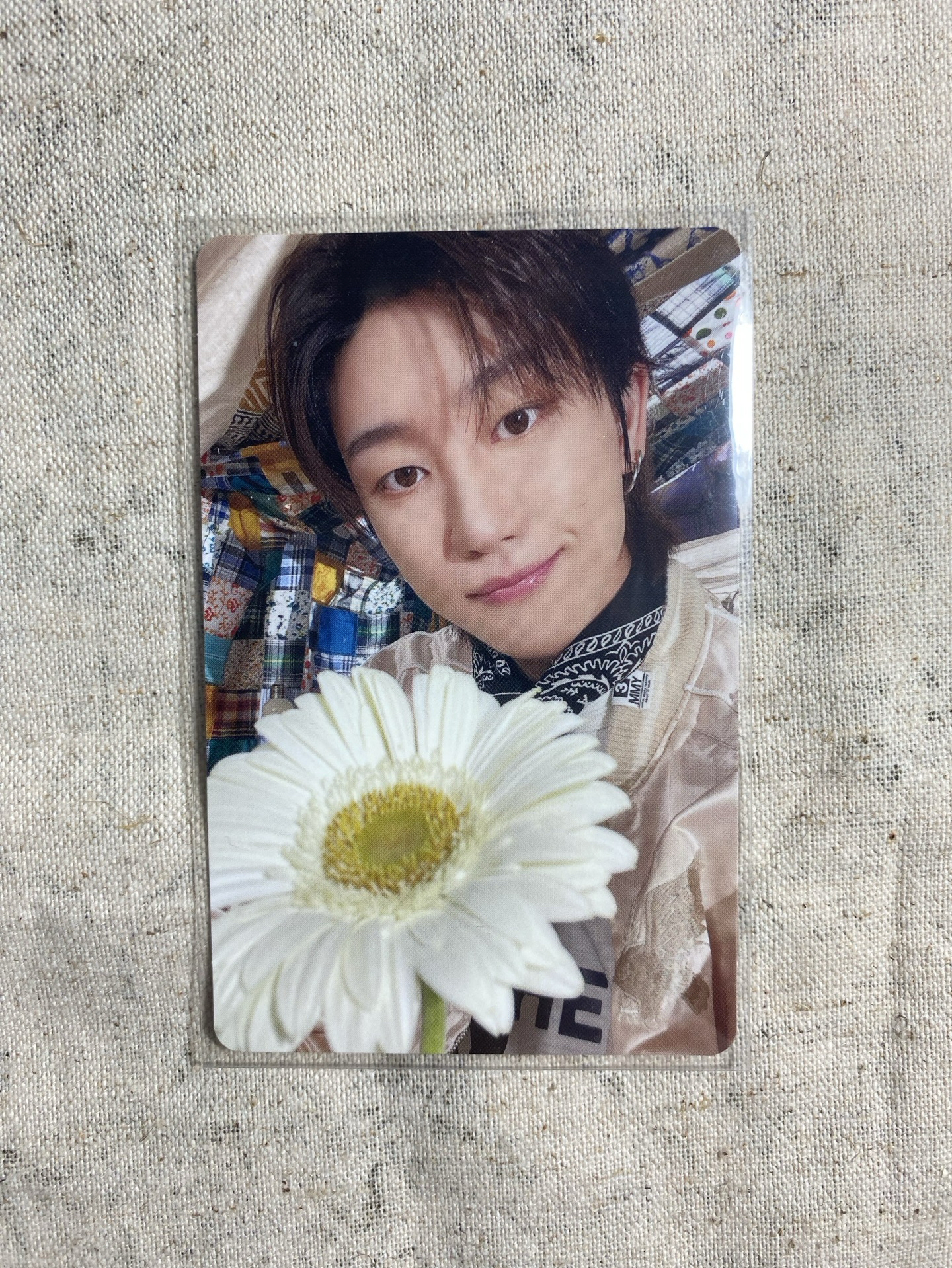 消費期限 專輯卡 ｜CARAT盤