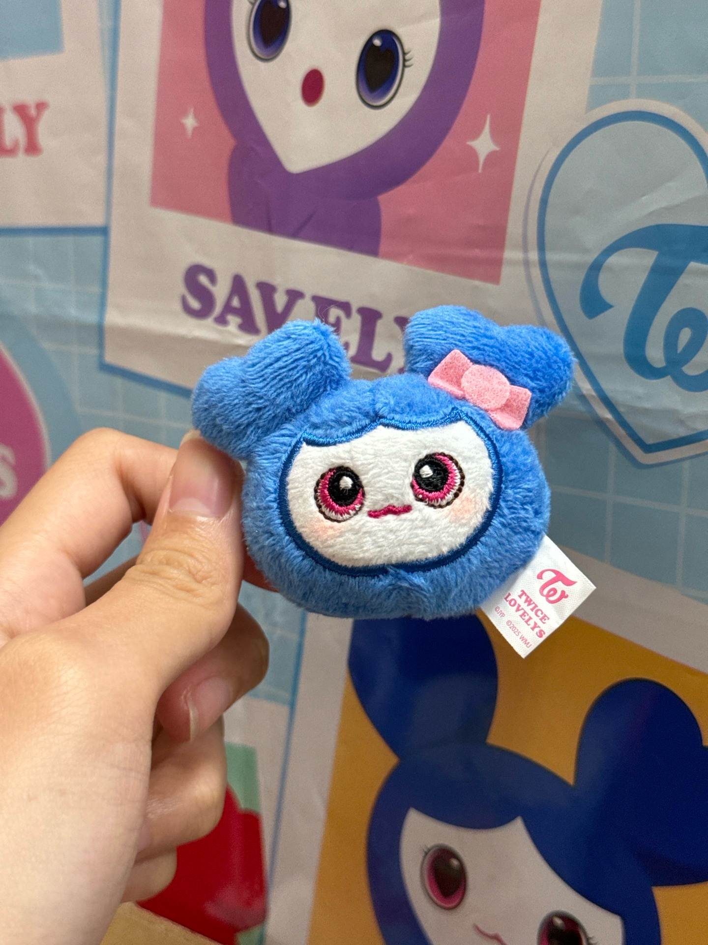 LOVELYS x GiGO 髮夾 GIGO髮夾 子瑜款