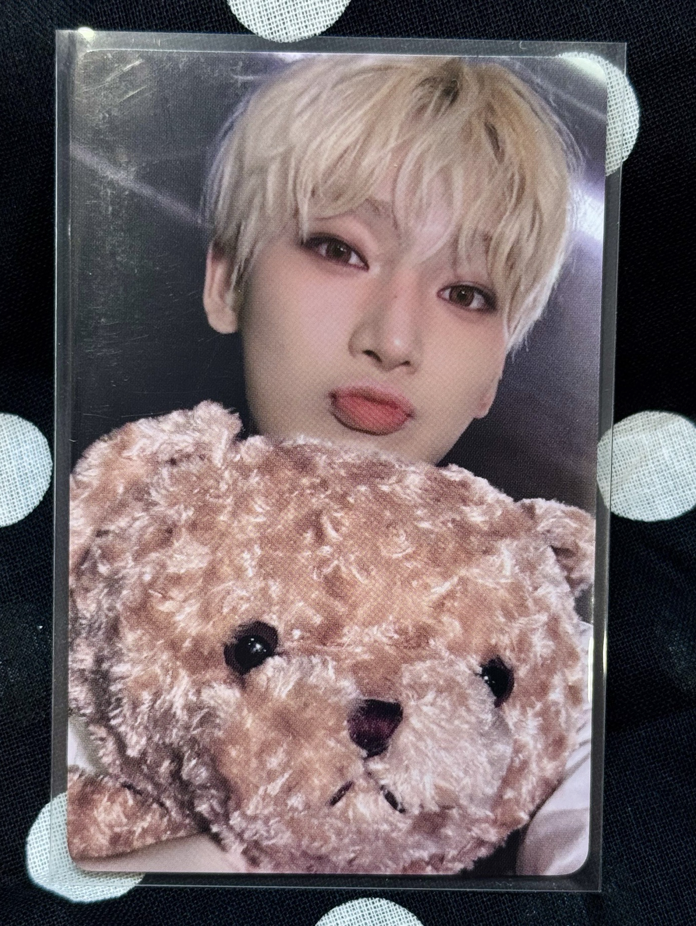 善禹 一直娛4.0 特典卡