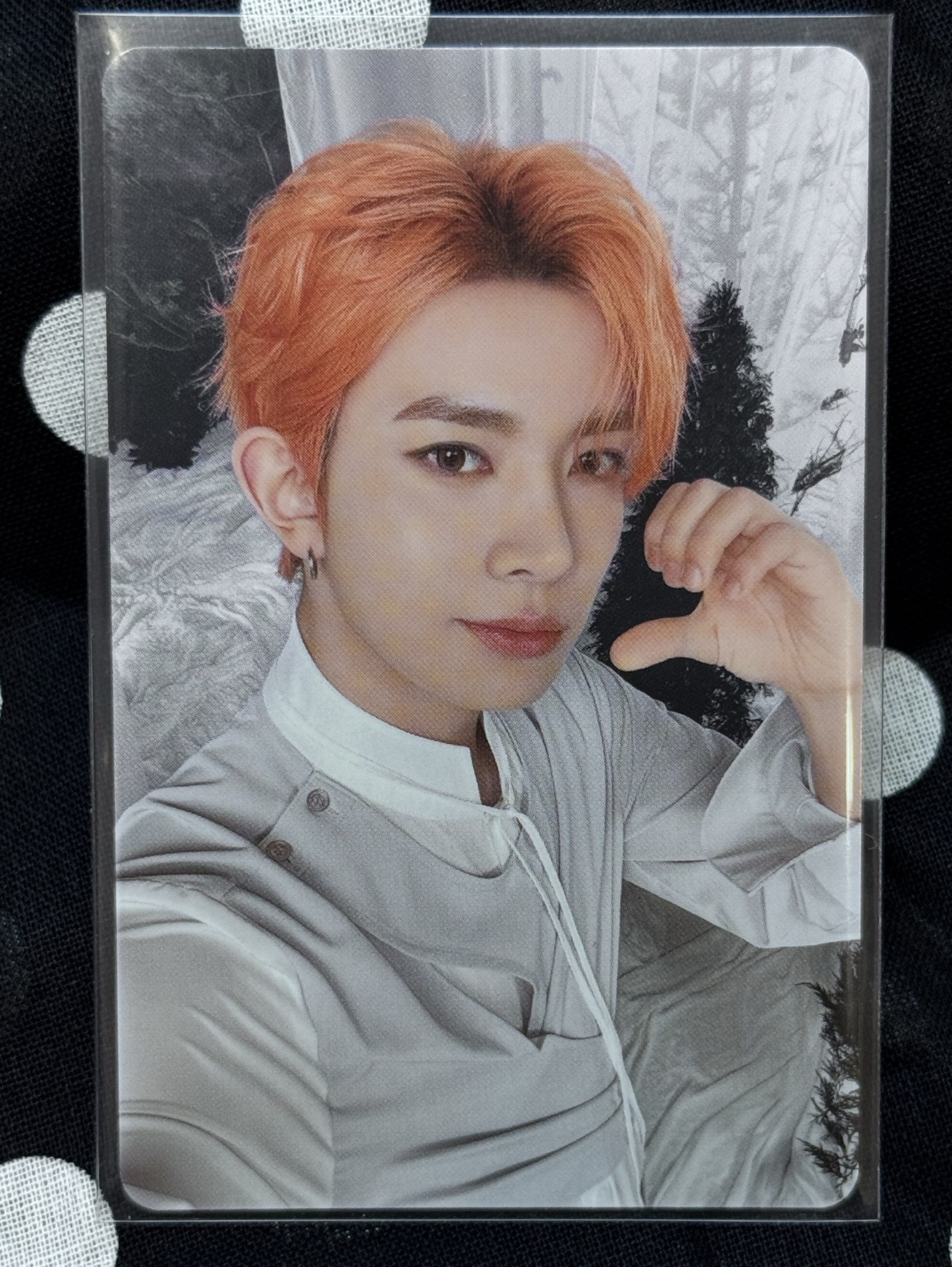 羲承 日巡場週隨機卡