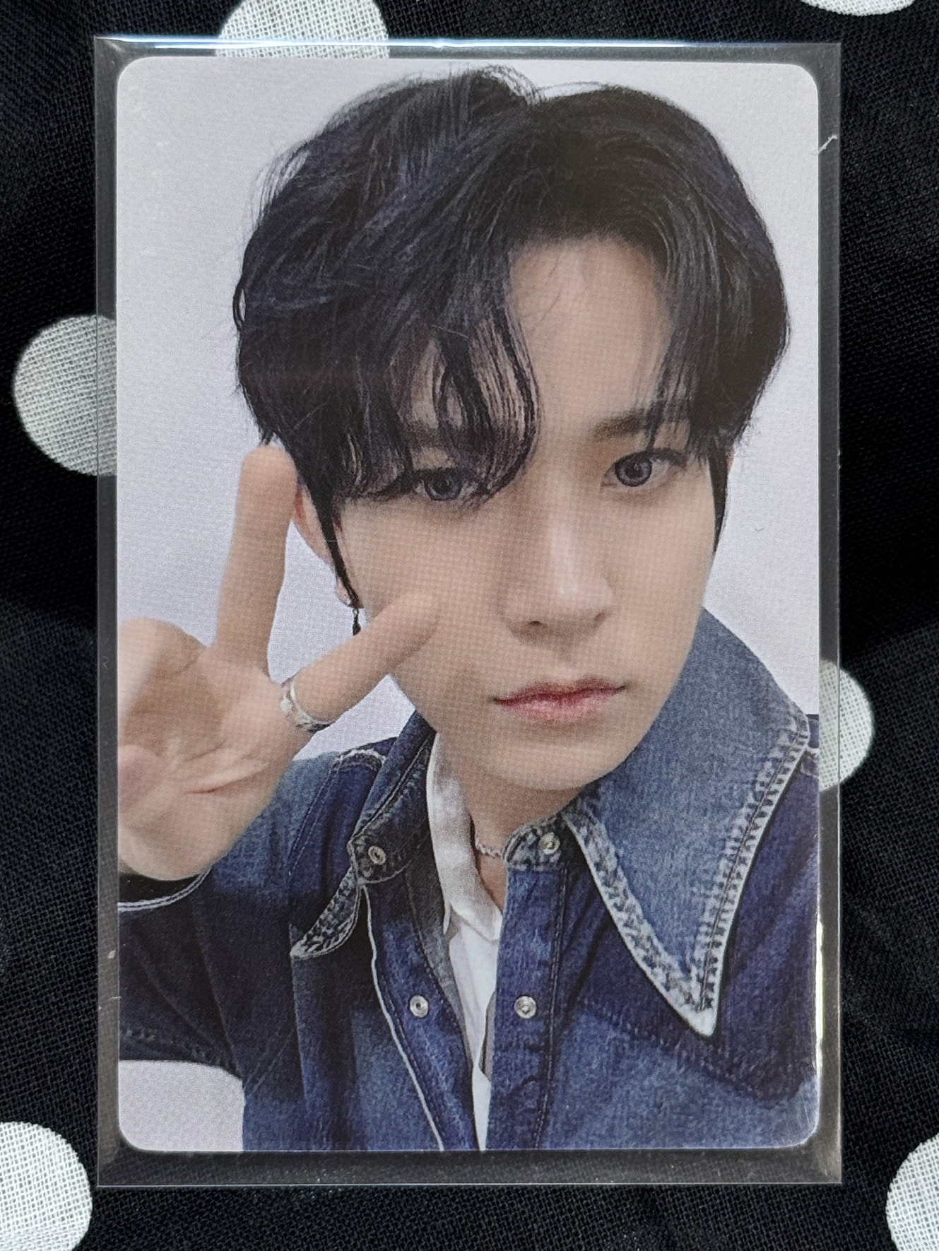 羲承 迷五一直娛5.0特典卡