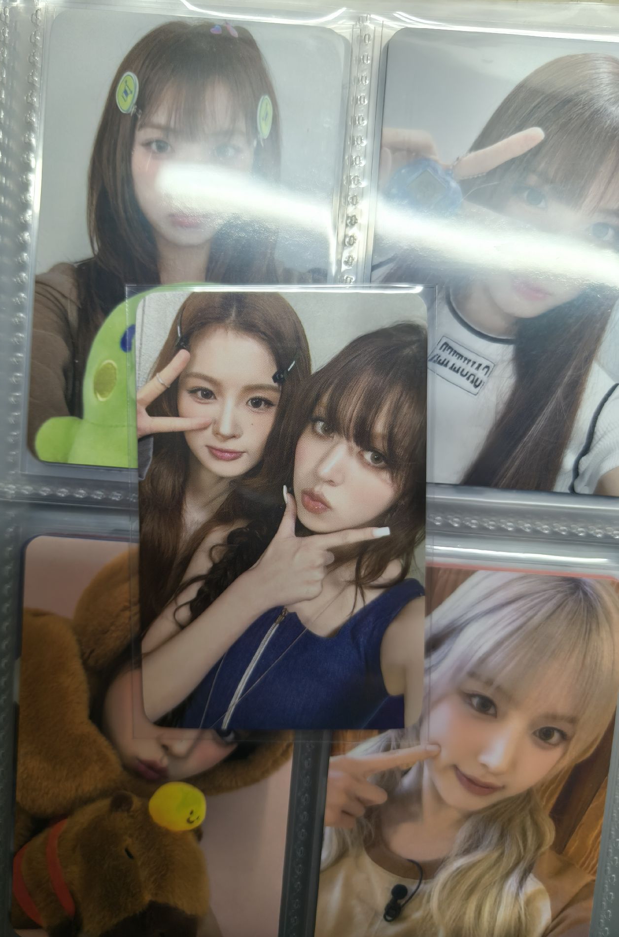 玫瑰莉薛雙人💙