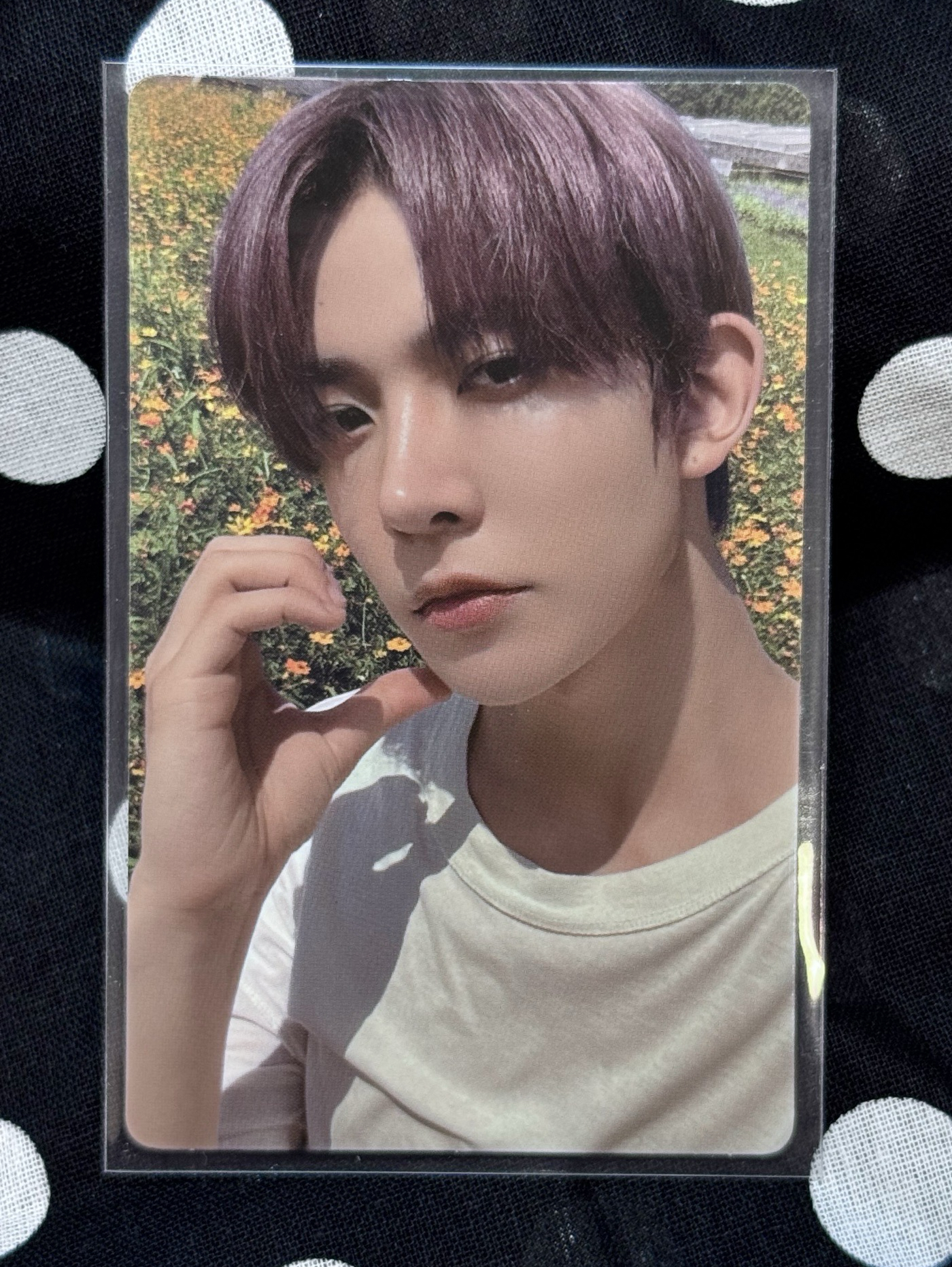 羲承 迷五電子專專卡