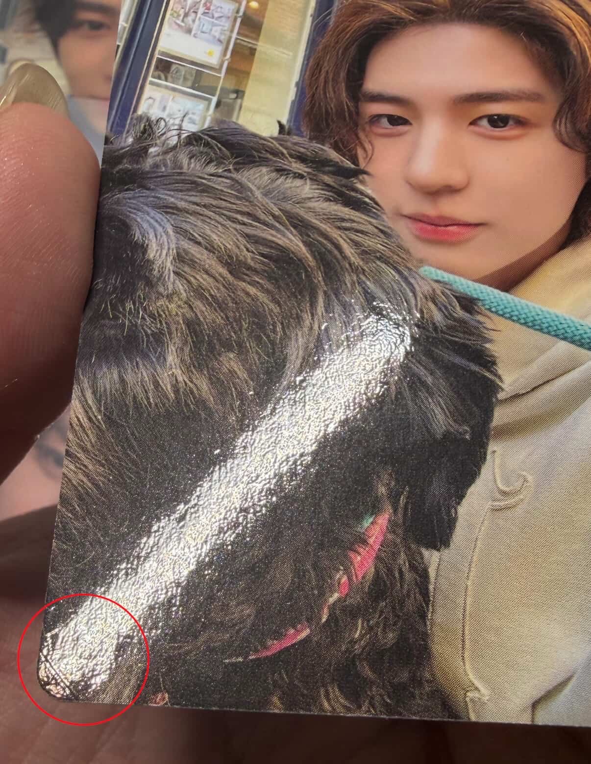 漢泰山金李涵組合（圖一需帶圖二1:1）