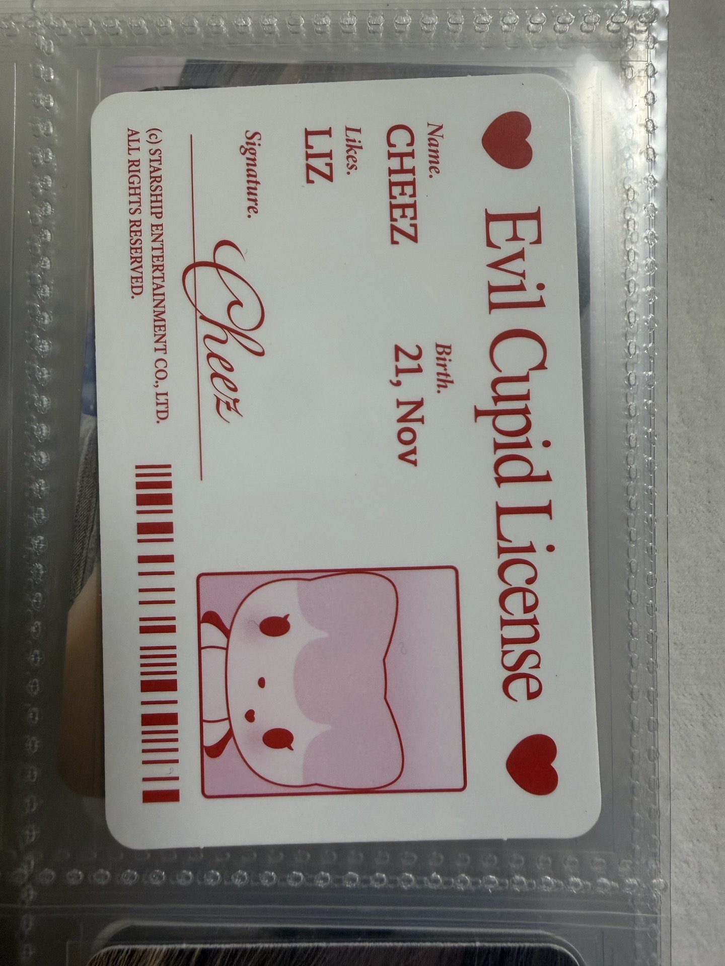 IVE 栗子娃專小卡*2