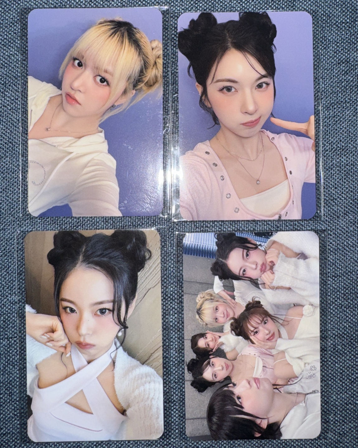 MS 8.0 pucca 莉裴圭 團卡