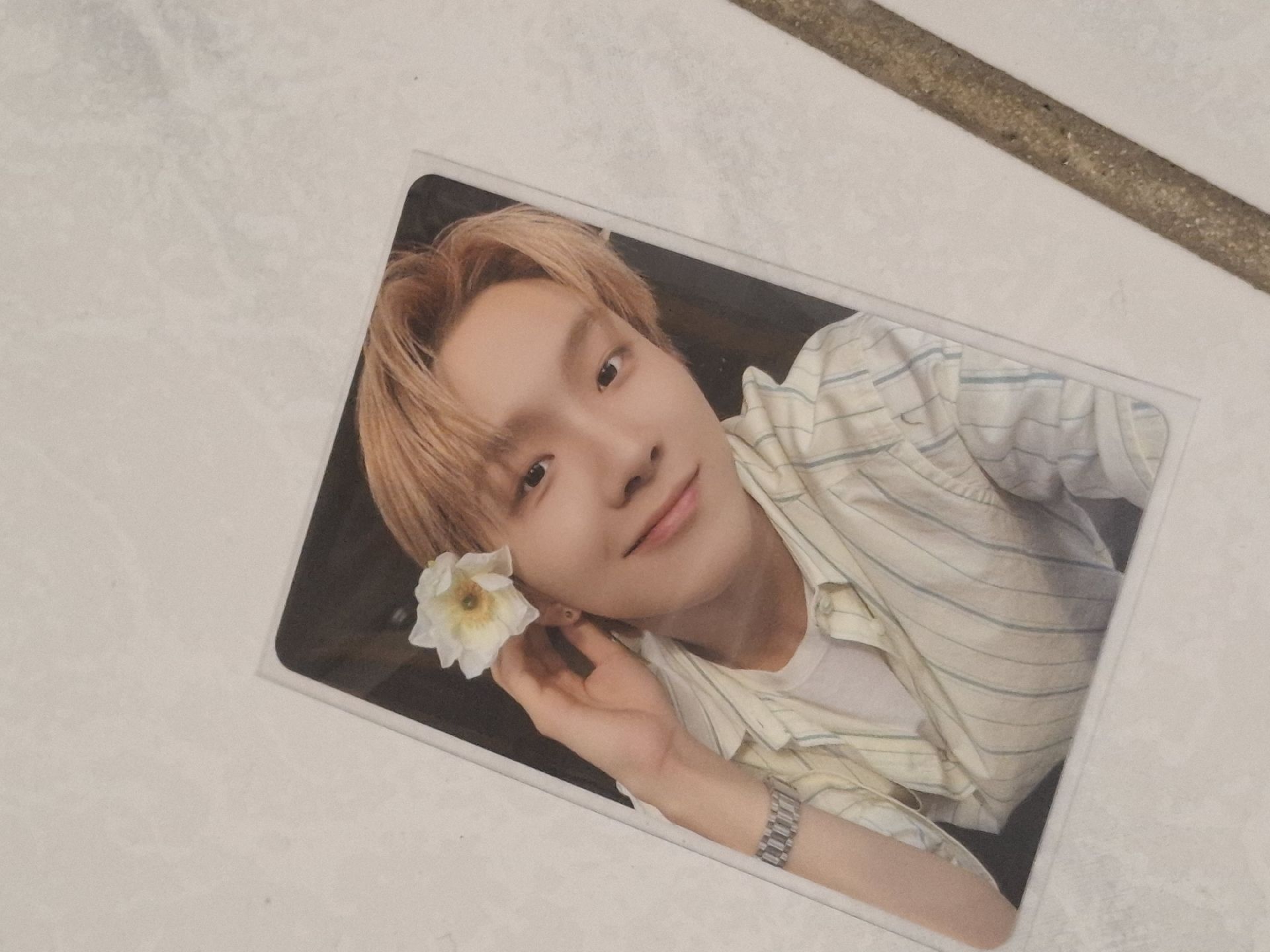 金雲鶴The Action wvs特典卡