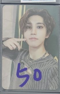 樂星韓電子專卡