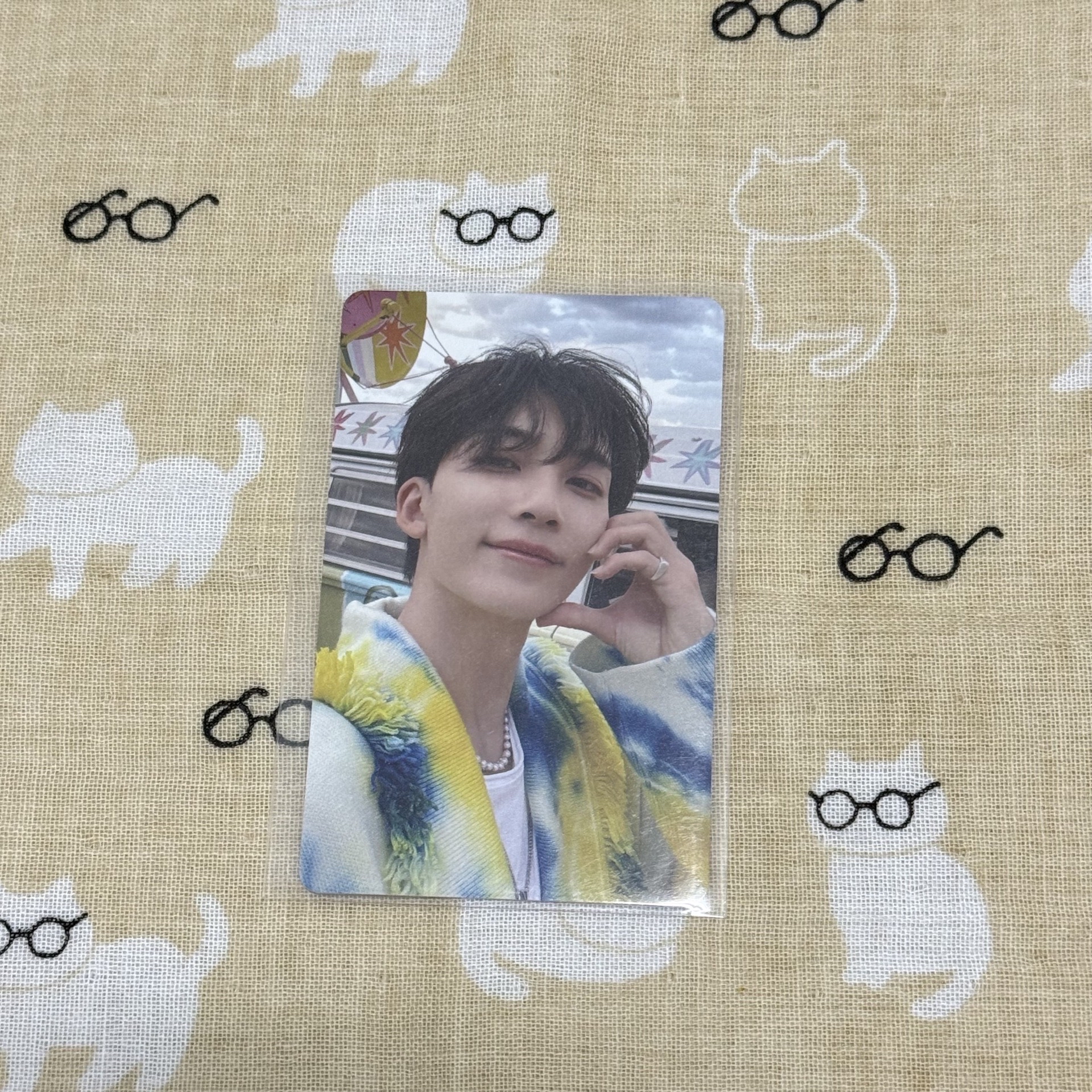 迷11 WVS福岡場限 綁$150