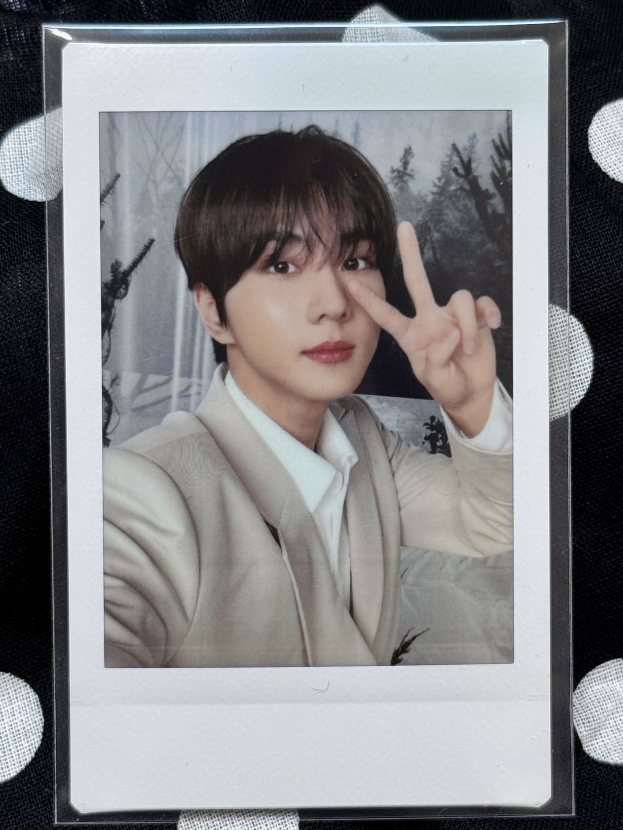 禎元 日巡場週拍立得