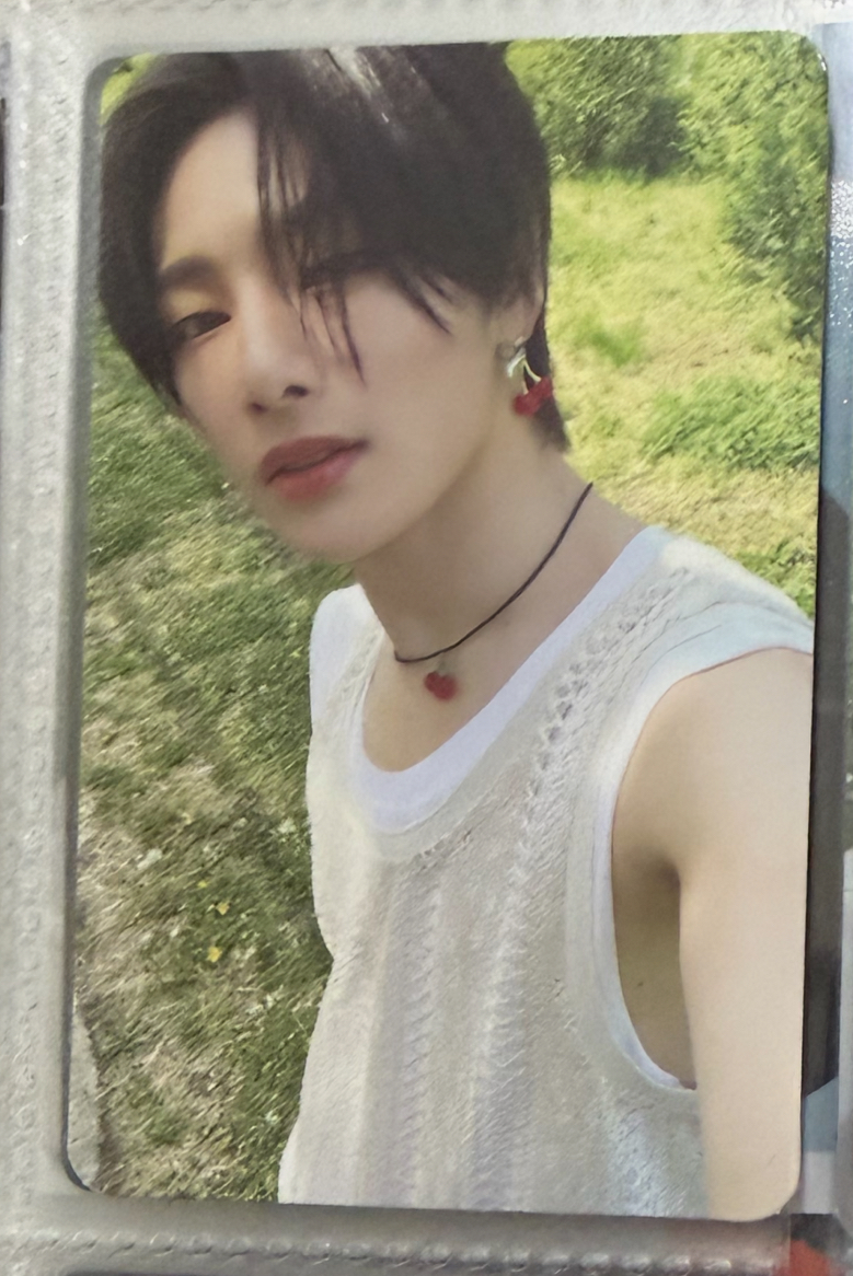 MAXIDENT 專輯卡 T-Crush ver.