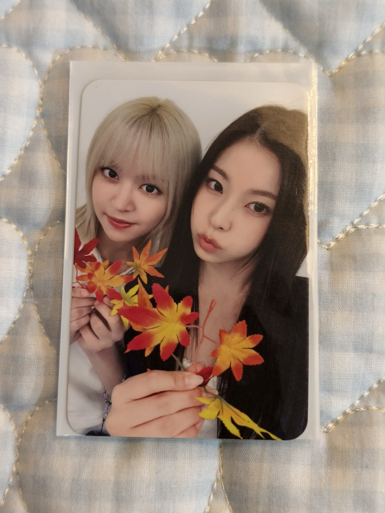 ✅正規一 入場卡 / 場限卡 快閃展覽 楓葉莉圭雙人