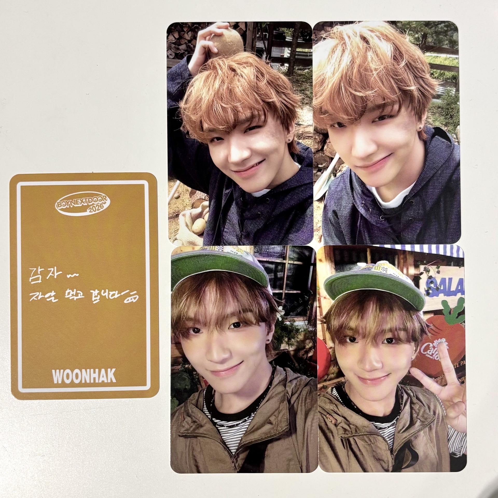 2026年曆｜雲鶴小卡Set