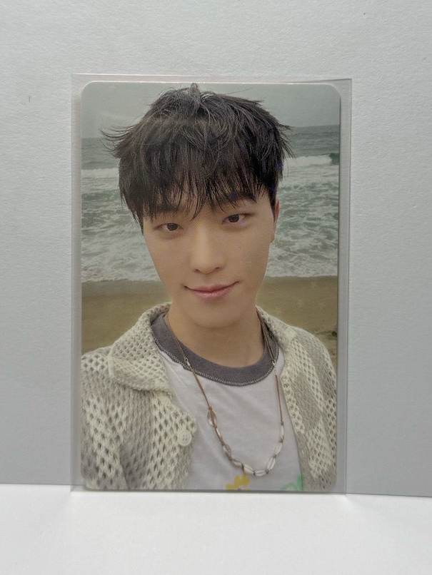 SEVENTEEN DINO wvs jp 特典卡