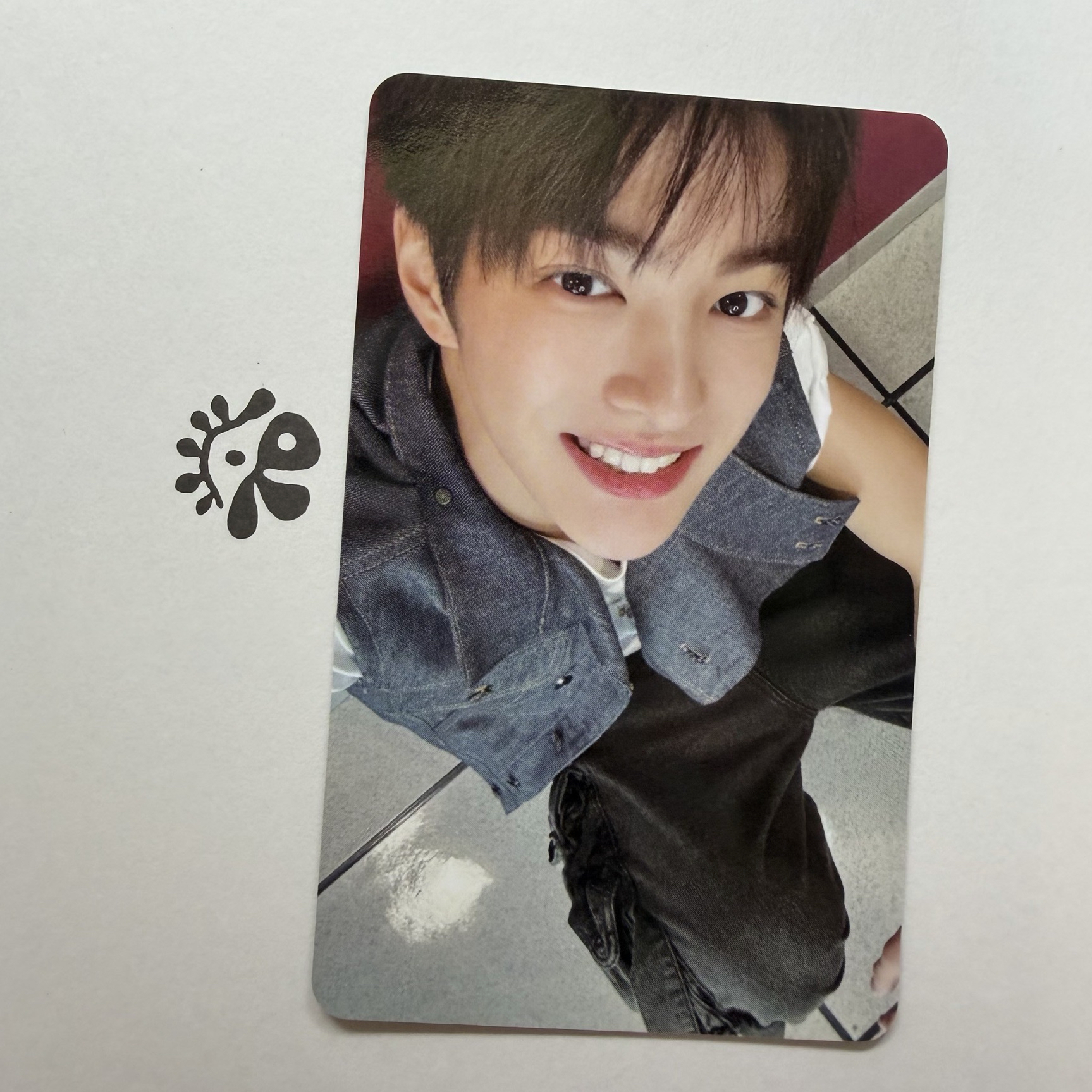 Cortis安乾鎬mp幸運卡