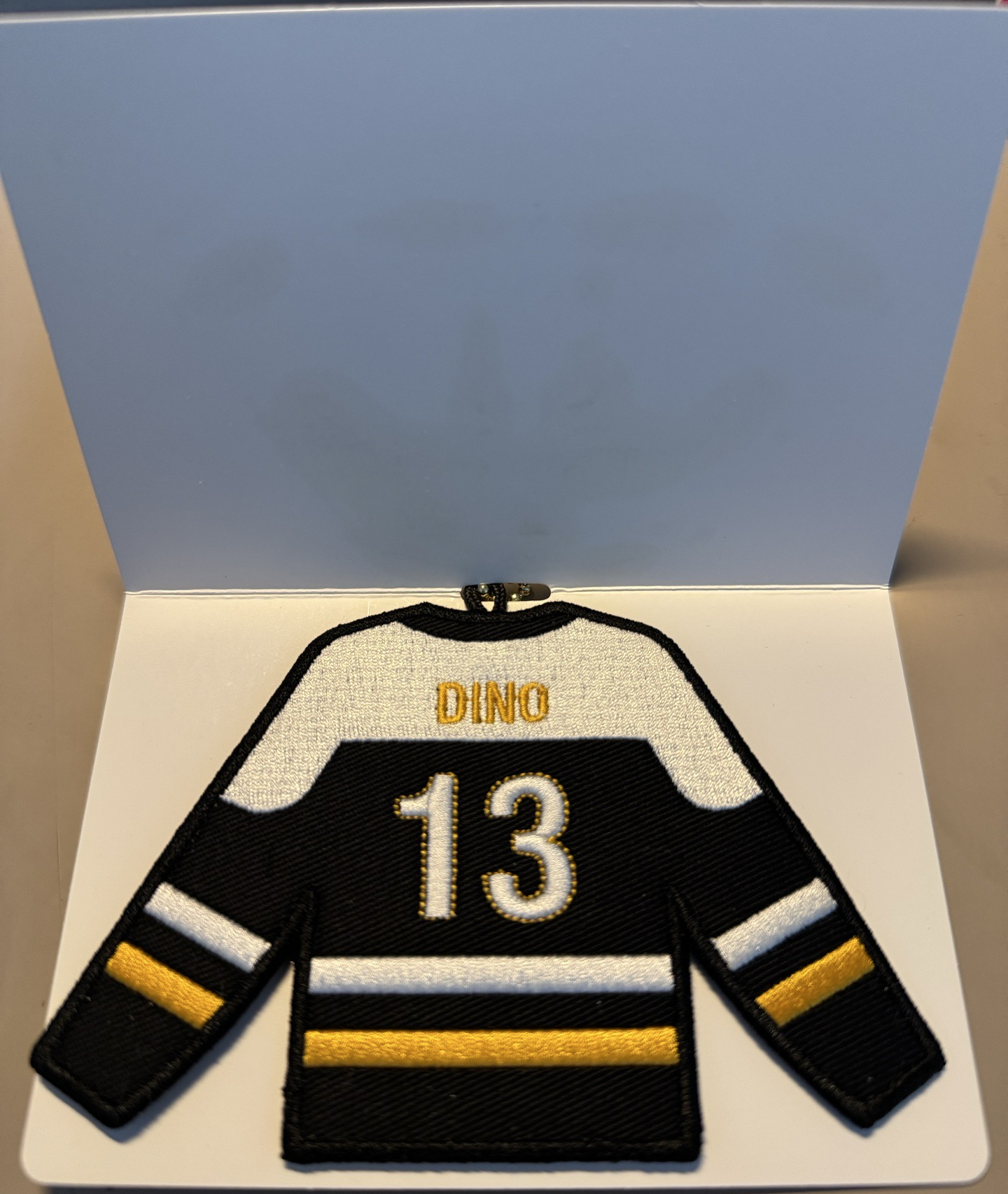 僅拆開擺拍，有原袋