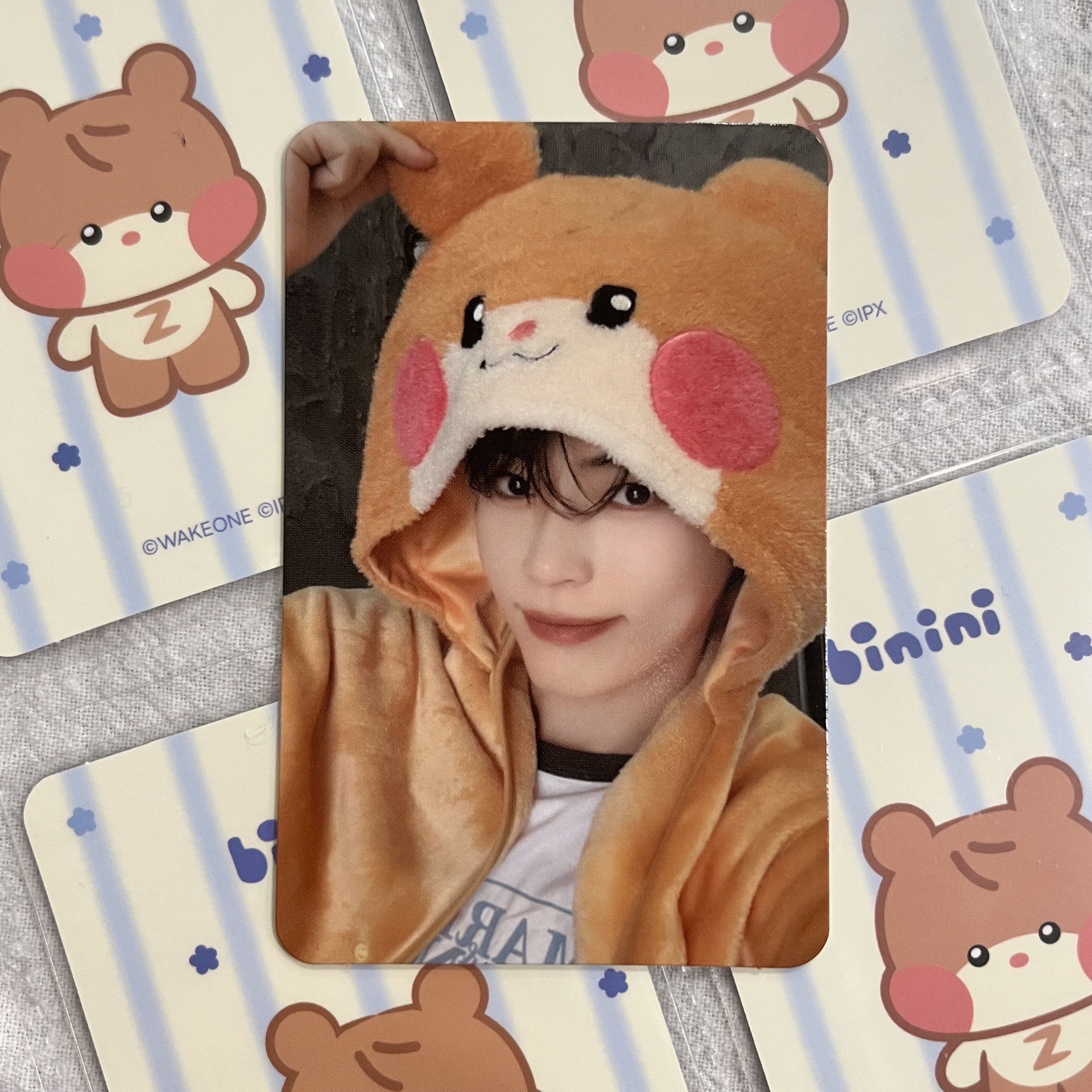 🐾零錢包小卡 彬