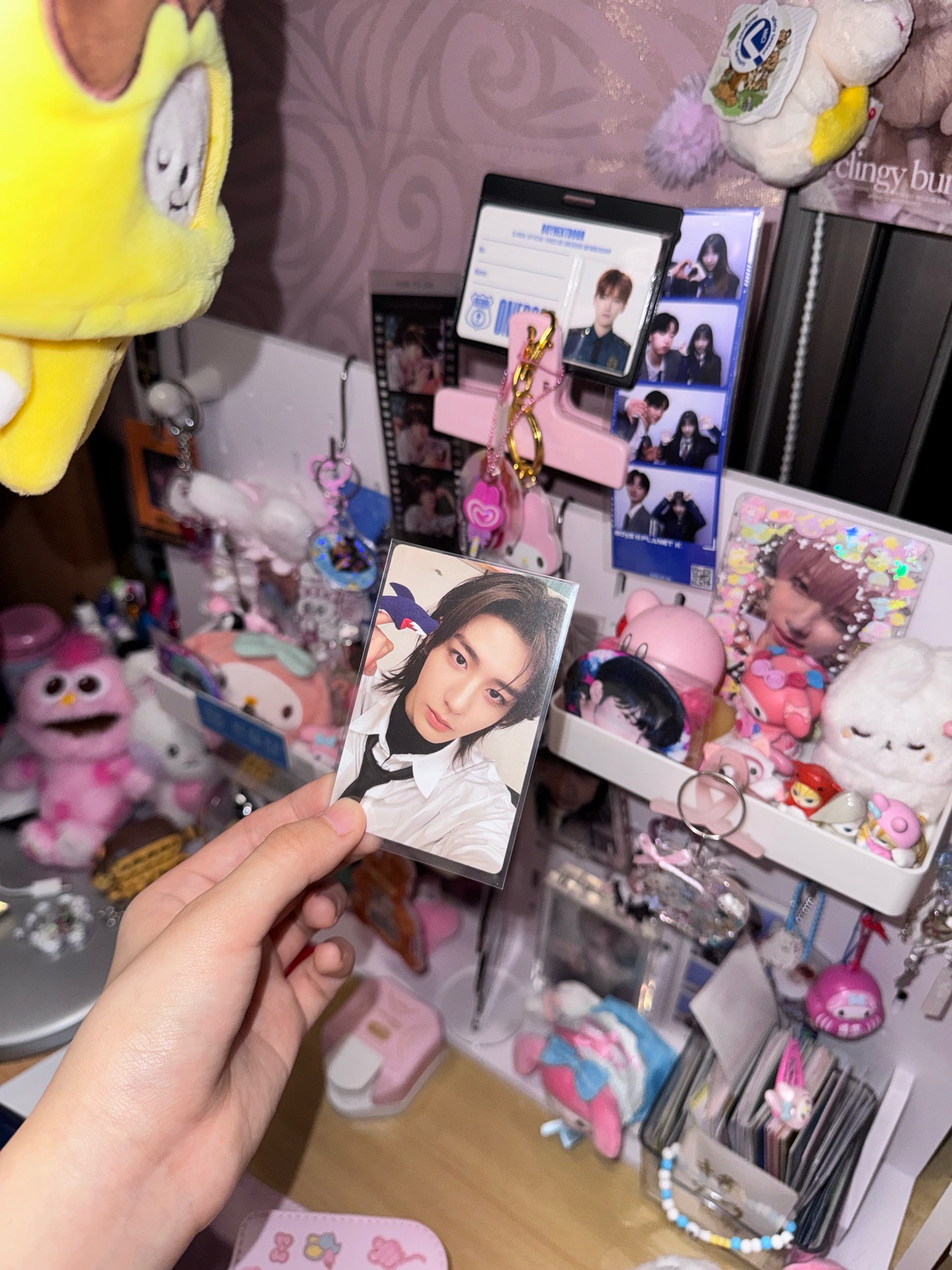 金桐儇金雲鶴漢東旼小卡