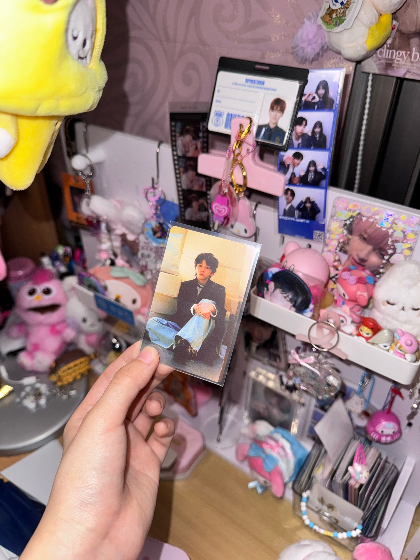 金桐儇金雲鶴漢東旼小卡