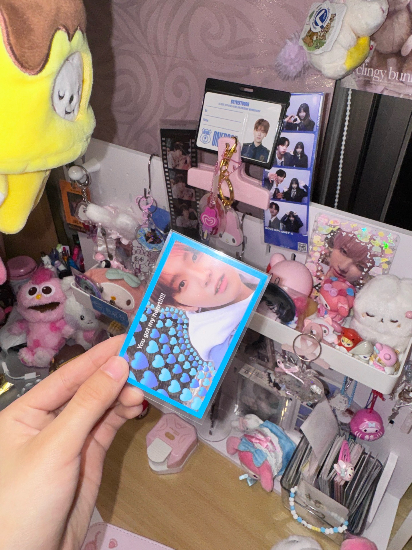 金桐儇金雲鶴漢東旼小卡