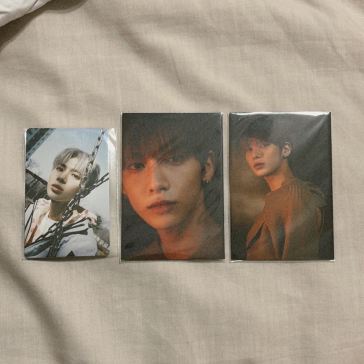 Freeze wvs特典/博物館周邊卡 太顯